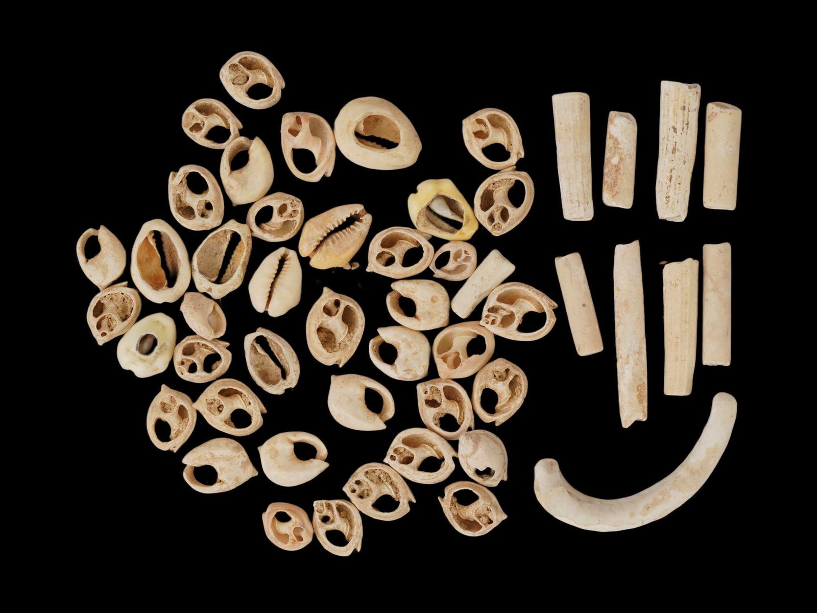 ANCIENT WESTERN ASIATIC SHELL BEADS OF VARIOUS SHAPES (1 of 8)