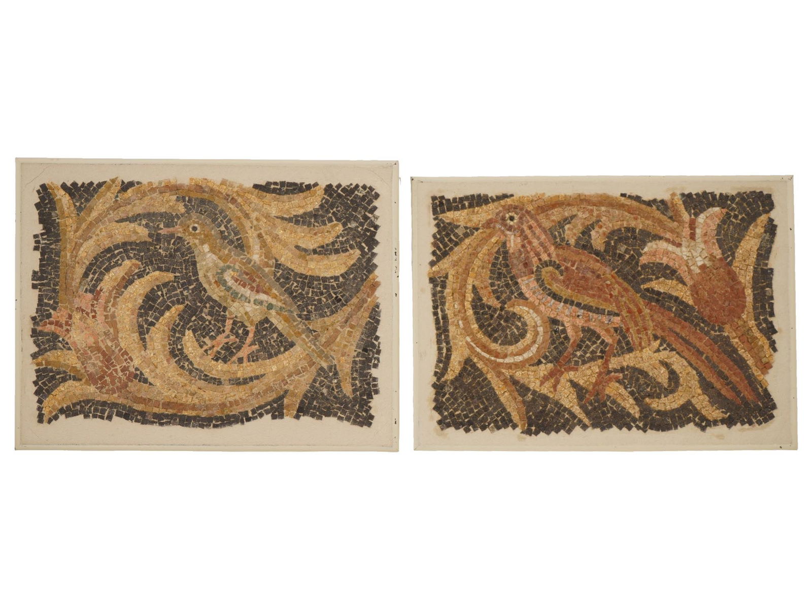 LOT OF TWO ANCIENT ROMAN BIRDS MOSAICS 100 TO 300 AD (1 of 4)