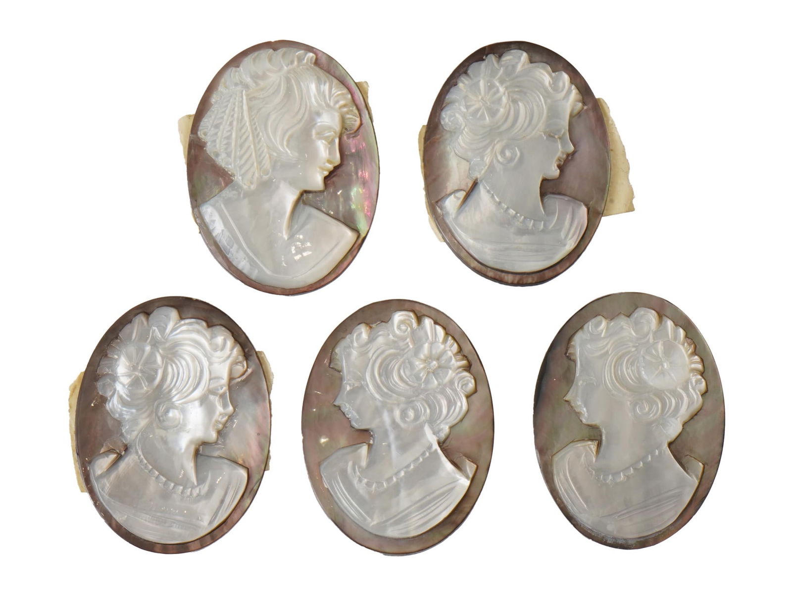 GROUP OF FIVE HAND CARVED SHELL PORTRAIT CAMEOS: A group of five shell cameos, each featuring a hand-carved female profile in relief utilizing the naturally contrasting layers of shell. Display a light cream or white foreground set against a darker,
