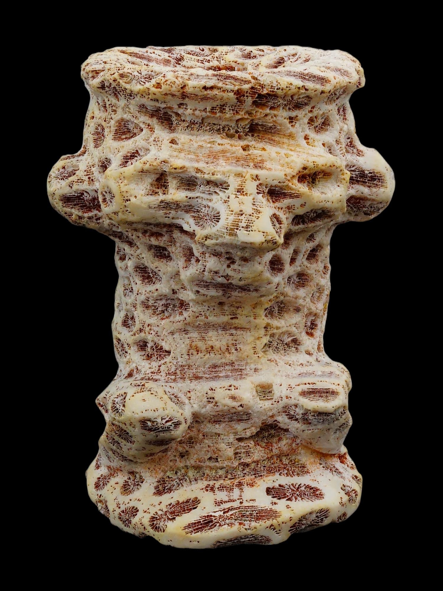 ANCIENT FOSSILIZED CORAL IDOL FIGURINE: An ancient figurine made of fossilized coral. The characteristic porous structure with radial patterns is the mineralized skeleton of ancient coral polyps. The shape of the figurine resembles an anthr