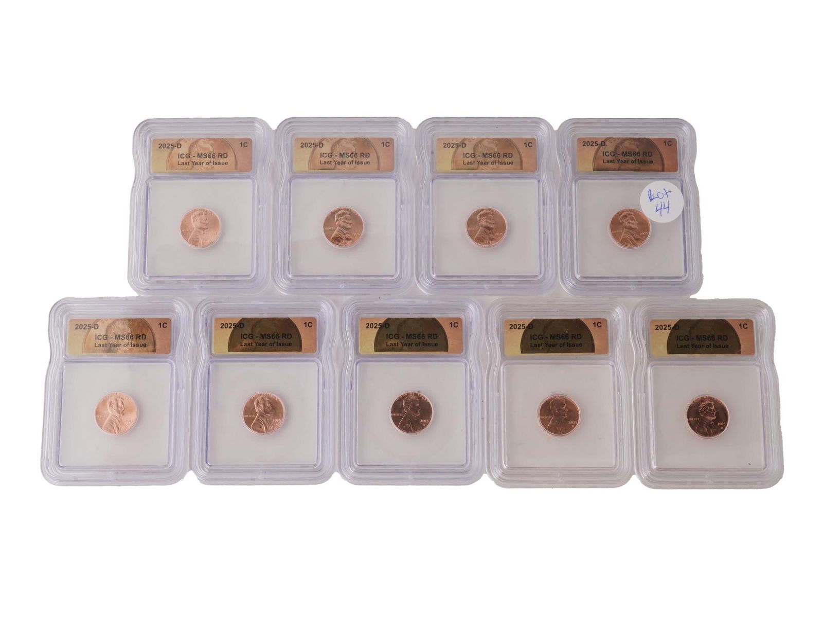 LOT 2025 US ONE CENT COINS MS66 RD GRADED BY ICG: A collection of nine 2025 United States One Cent Coin D certified by independent grading company ICG. The coin was minted in 2025 at the Denver Mint the D below the year. MS66 RD stands for Mint State