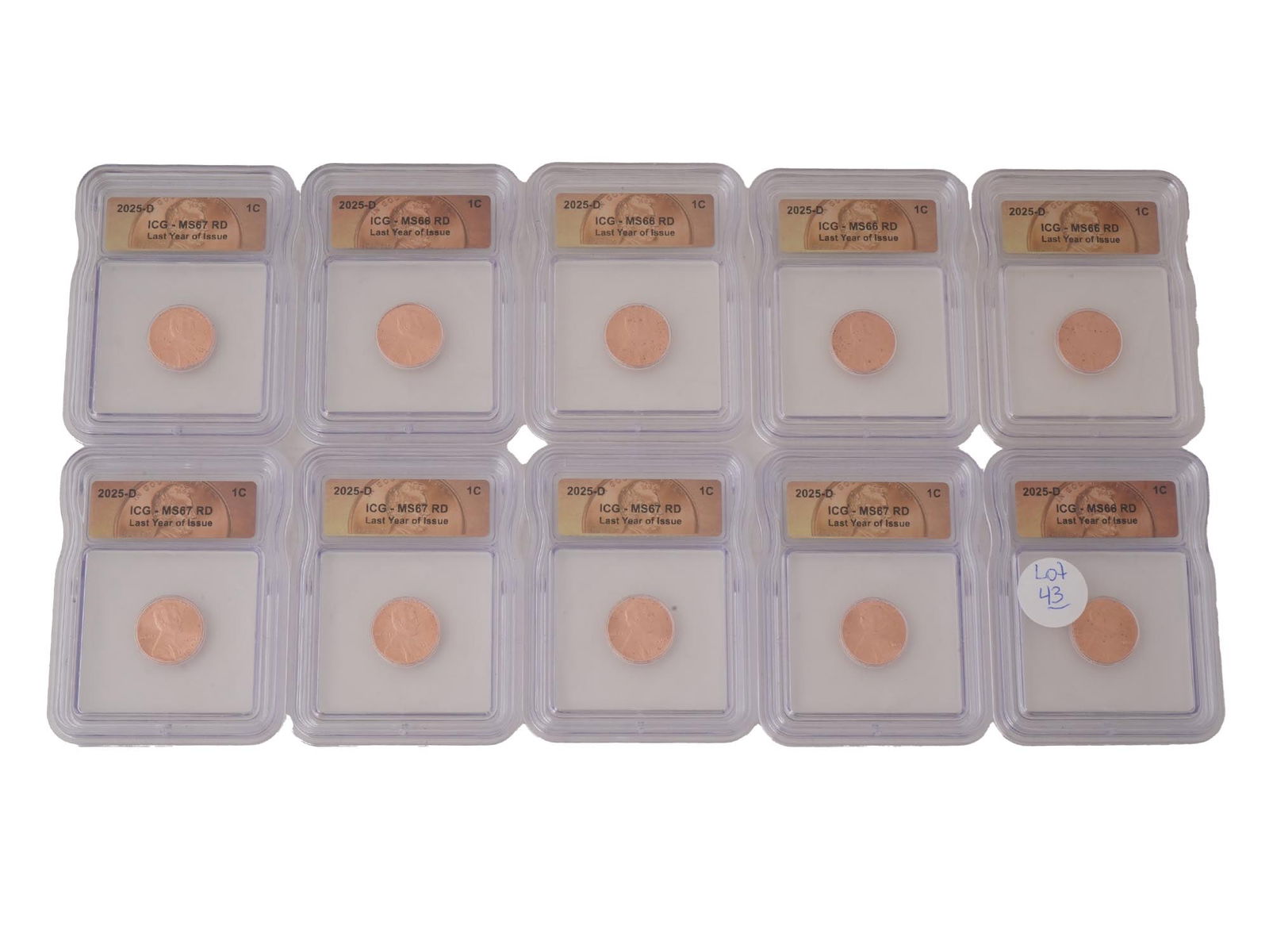 LOT 2025 US ONE CENT COINS MS66 MS67 RD GRADED BY ICG: A collection of ten 2025 United States One Cent Coin D certified by independent grading company ICG. The coin was minted in 2025 at the Denver Mint the D below the year. MS66 or MS67 RD stands for Min