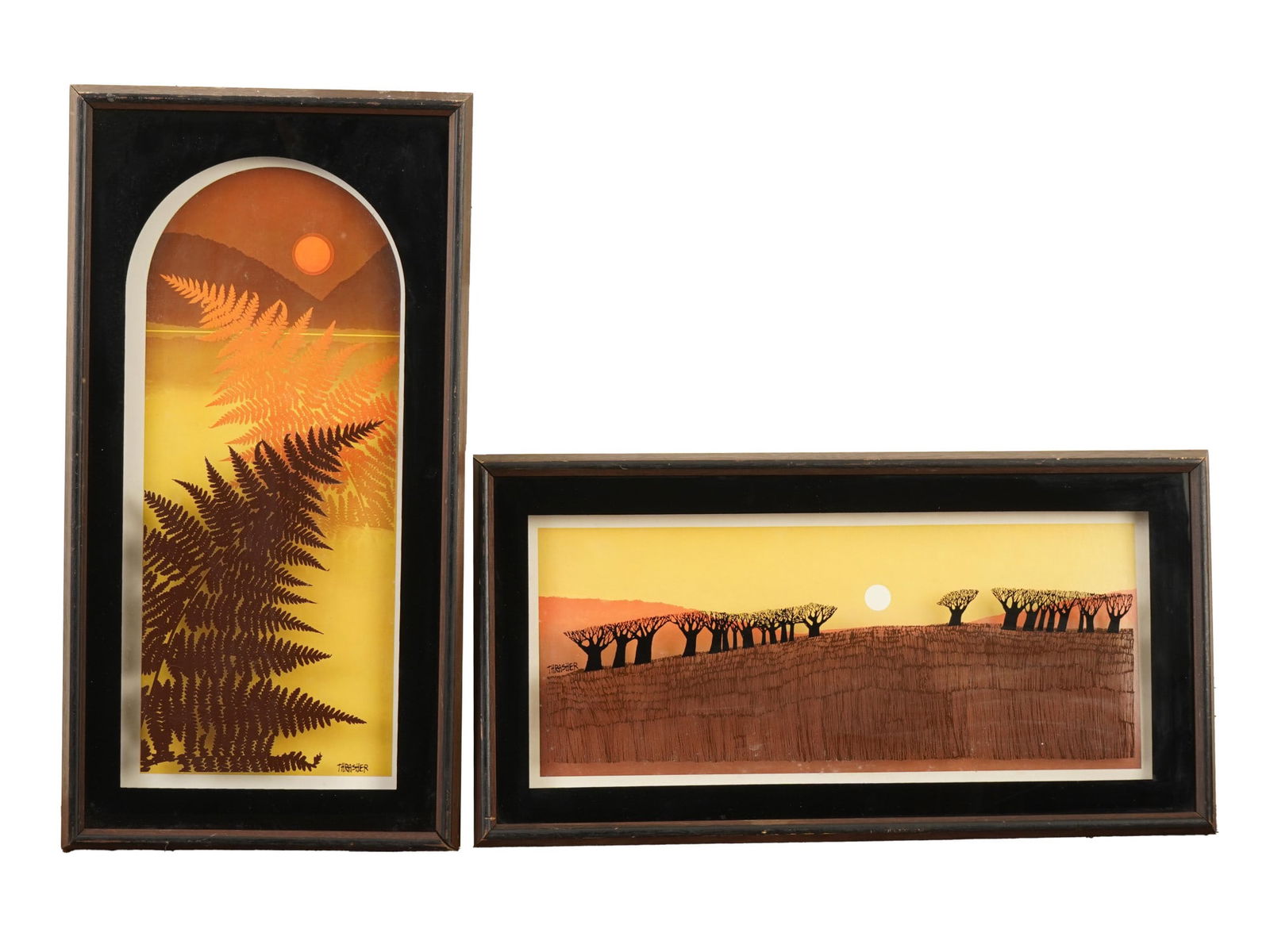 TWO AMERICAN VIRGIL TRASHER GLASS ARTWORKS SERIES: A lot of two Lucid Lines art glass artworks from The Virgil Thrasher series. Titled, 1252 Ferns, 1255 Slope. Each is signed lower right or to the center left. Both are framed. Marked with copyright Lu