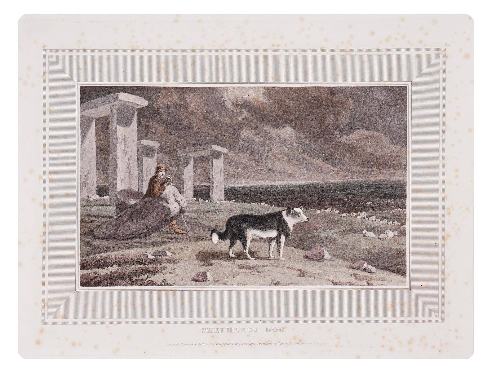 WILLIAM DANIELL ENGLISH COLOR ENGRAVING SHEPHERDS DOG: Engraving and aquatint on paper by William Daniell, 1769 to 1837, an English painter, printmaker, and traveller. Plate from the book Interesting Selections from Animated Nature, London, 1809. Titled S