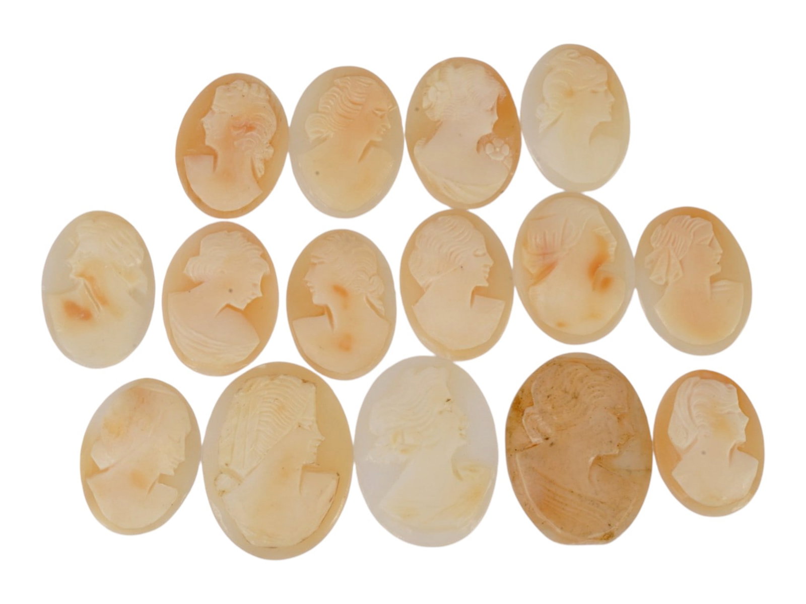 COLLECTION OF CARVED SHELL CAMEOS WITH FEMALE PORTRAITS: A collection of 15 carved shell cameos featuring high-relief female portraits, executed in a traditional classical style associated with Victorian-era jewelry. The loose unmounted pieces display detai