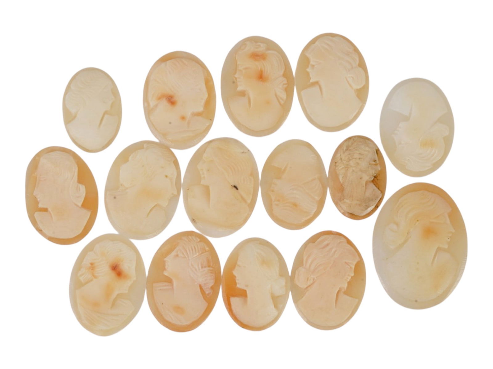 COLLECTION OF CARVED SHELL CAMEOS WITH FEMALE PORTRAITS: A collection of 15 carved shell cameos featuring high-relief female portraits, executed in a traditional classical style associated with Victorian-era jewelry. The loose unmounted pieces display detai