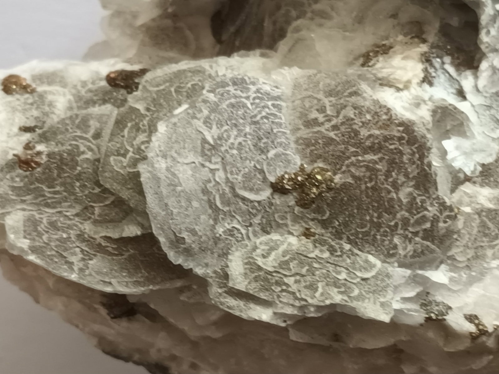 FISHSCALY CALCITE - 5