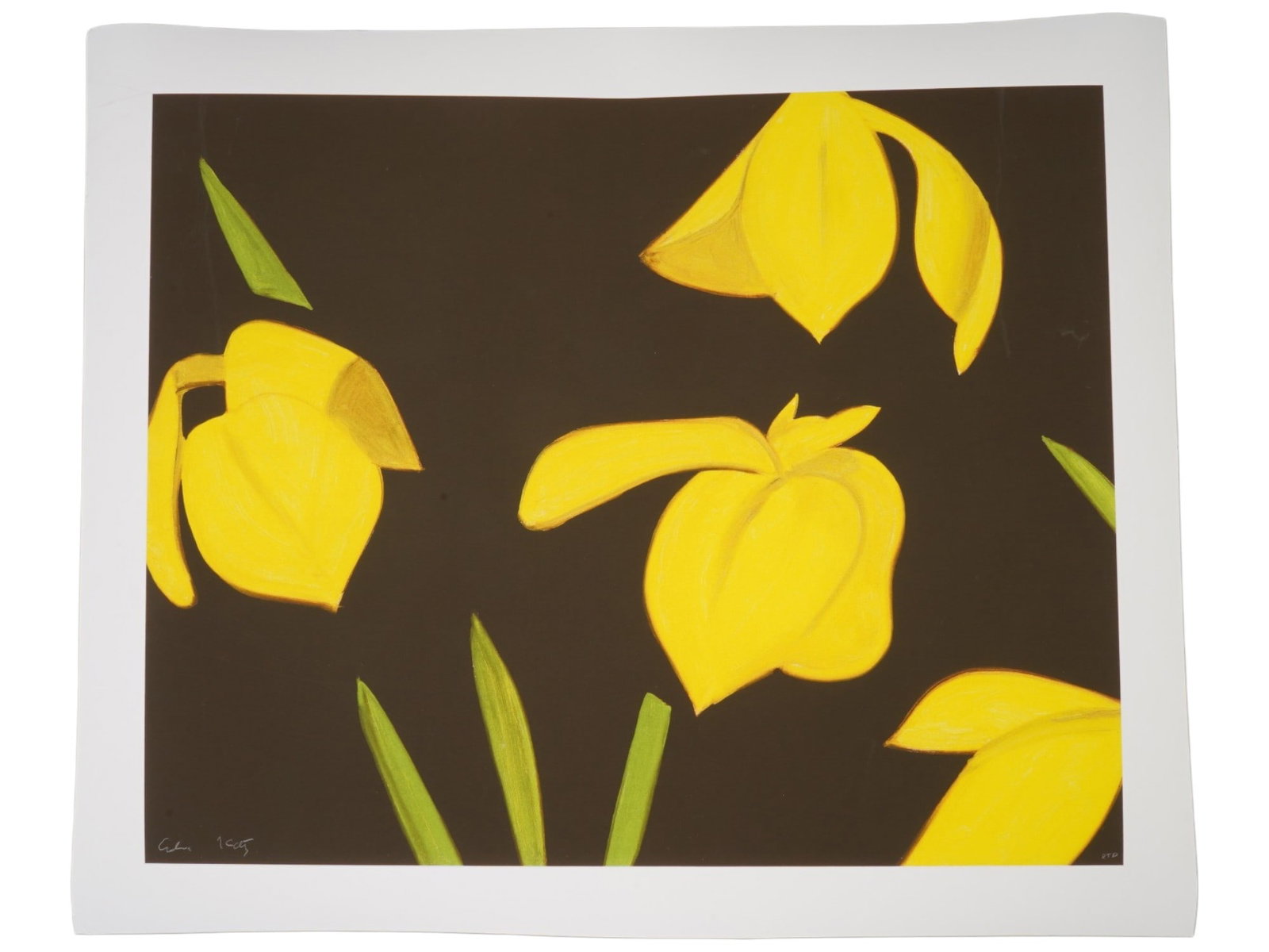 AMERICAN FLOWERS COLOR LITHOGRAPH AFTER ALEX KATZ (1 of 5)