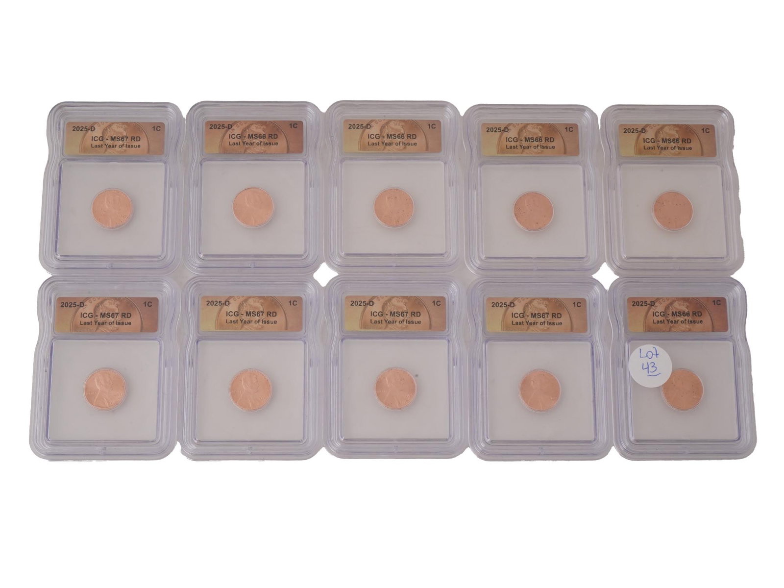 LOT 2025 US ONE CENT COINS MS66 MS67 RD GRADED BY ICG: A collection of ten 2025 United States One Cent Coin D certified by independent grading company ICG. The coin was minted in 2025 at the Denver Mint the D below the year. MS66 or MS67 RD stands for Min