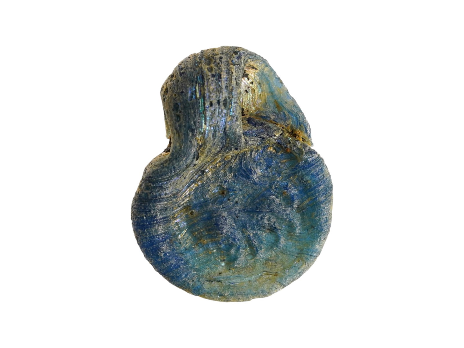 ANCIENT ROMAN EMPIRE GLASS PENDANT OF LION ZODIAC: An Ancient Roman glass pendant. Imperial Rome era, ca. 200 to 400 AD. The medallion represents the Zodiac sign of Lion and crescent. Blue glass shade. Collectible Archaeological Finds And Relics, Roma