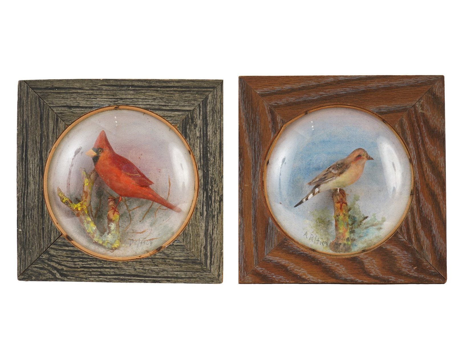 VINTAGE 1960S WOODEN BIRD DIORAMAS BY ARTHUR PELTIER (1 of 8)