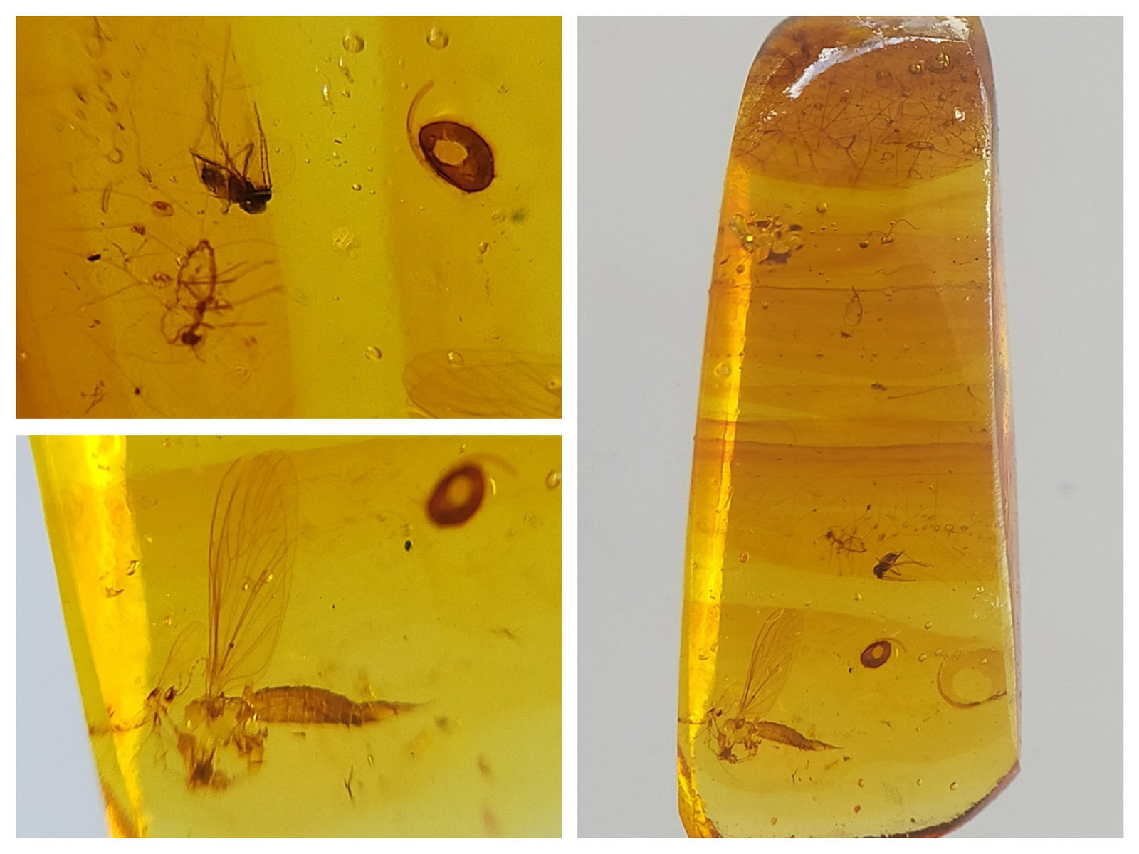 BURMITE AMBER WITH FLY & OTHER INSECTS: Naturally striated yellow to light brown burmite amber with fly & other insects. Weight: 0.80 grams. Origin: Hukawng Valley, Kachin state, Myanmar. Age: 99-100 mill. years. (ABR17/22) THIS LOT