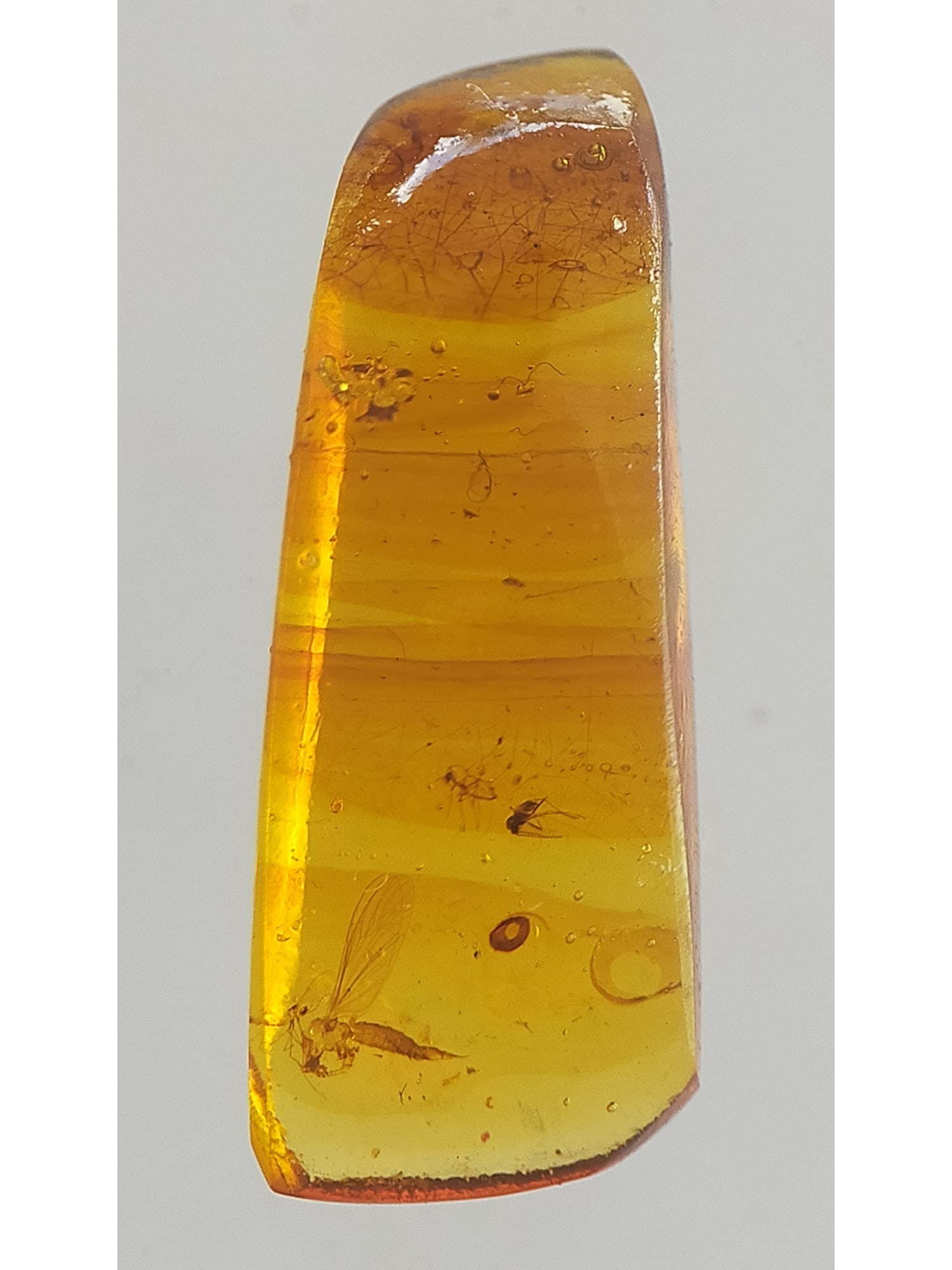 BURMITE AMBER WITH FLY & OTHER INSECTS - 3