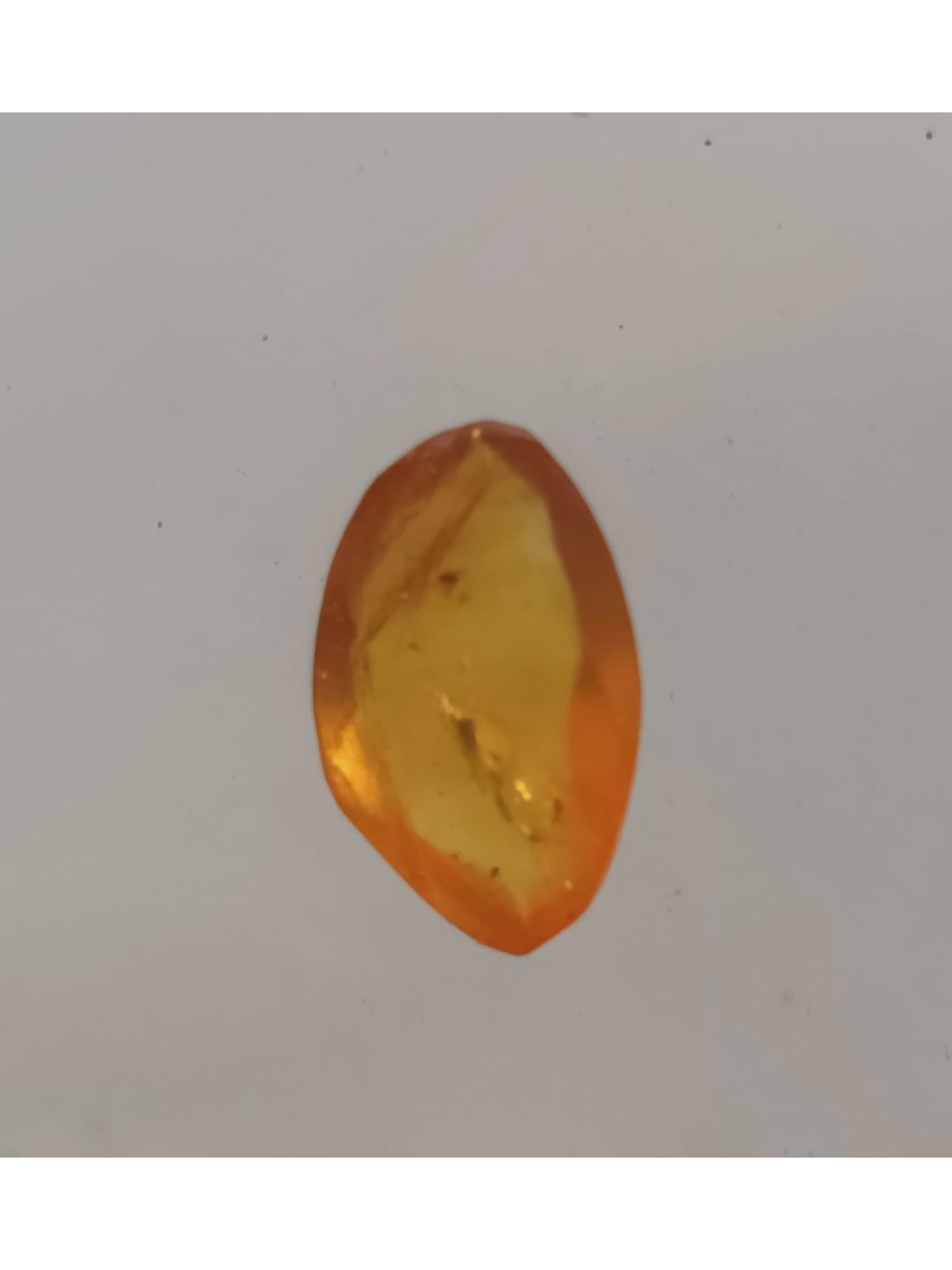 BURMITE AMBER WITH FLY - 2