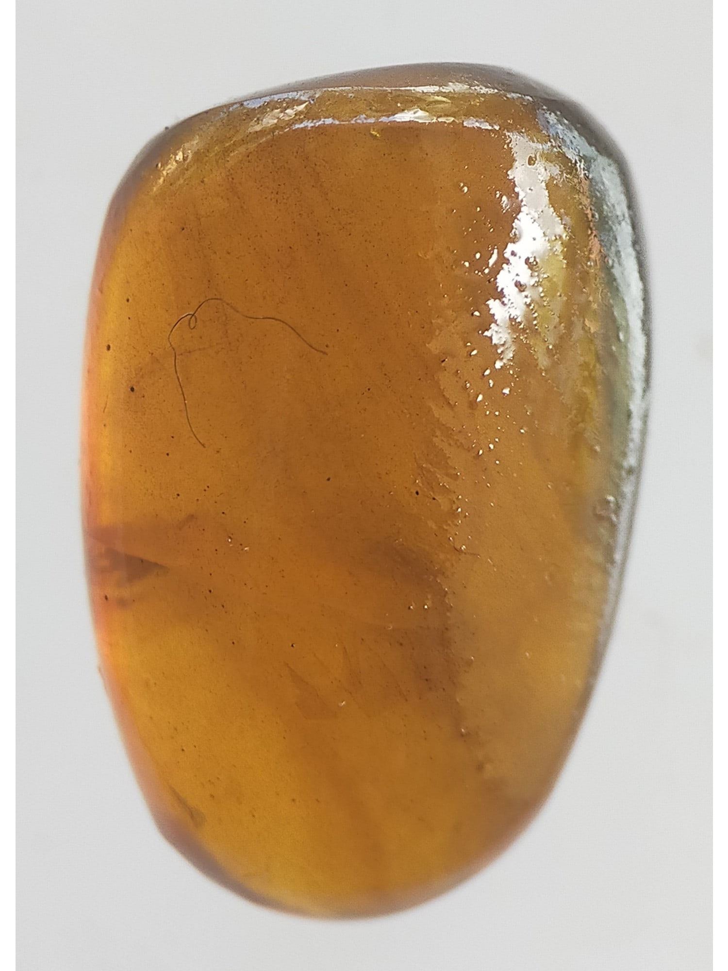 BURMITE AMBER WITH FLY - 2
