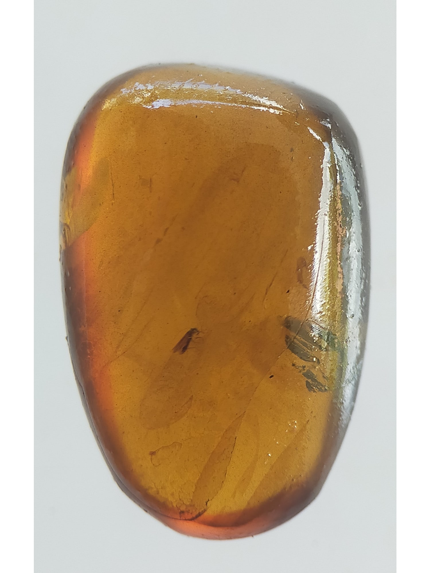 BURMITE AMBER WITH FLY - 3