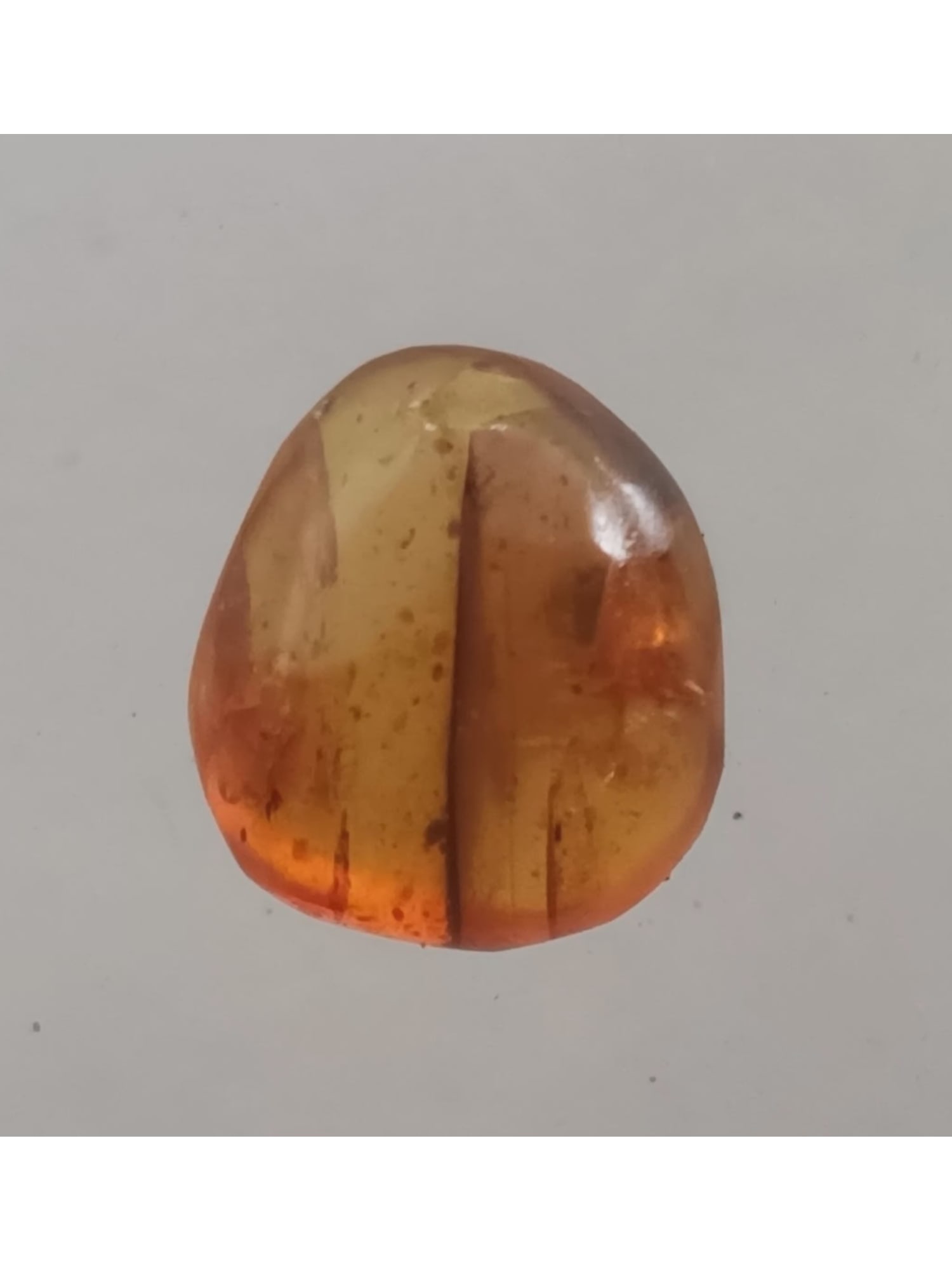 BURMITE AMBER WITH 2 INSECTS - 2