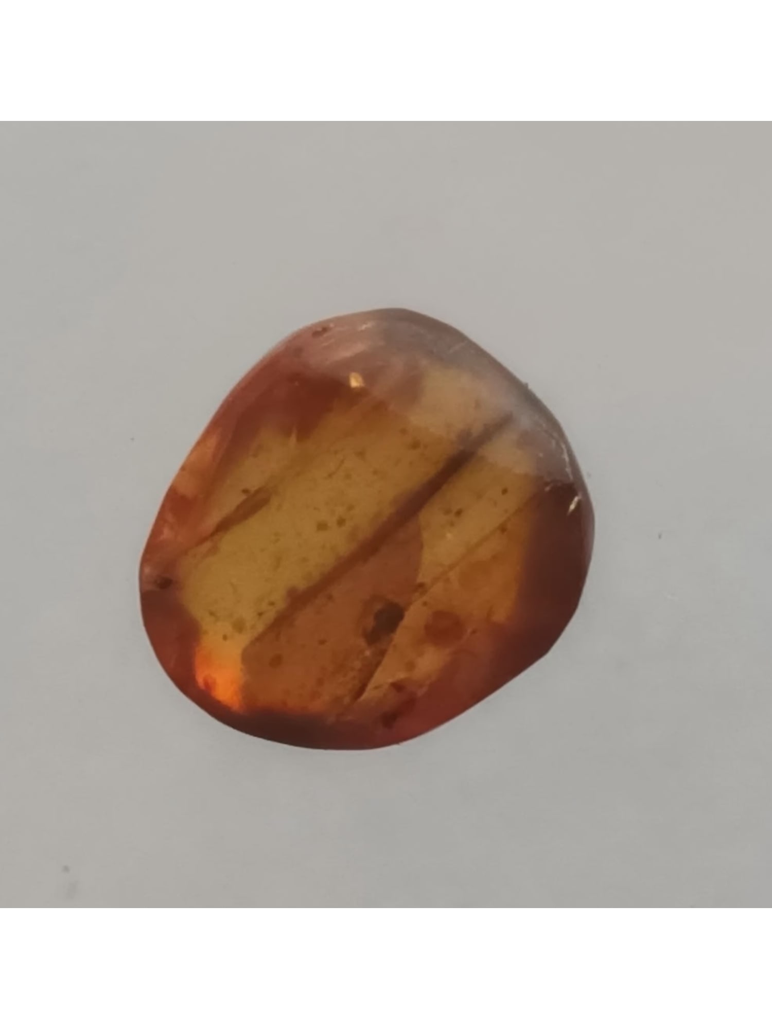 BURMITE AMBER WITH 2 INSECTS - 3