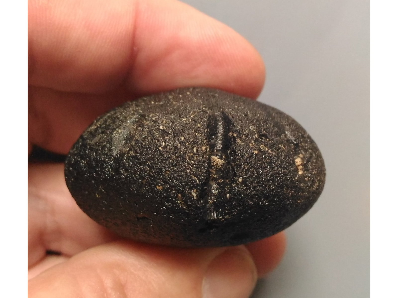 TEKTITE FROM METEORITE IMPACT - 2