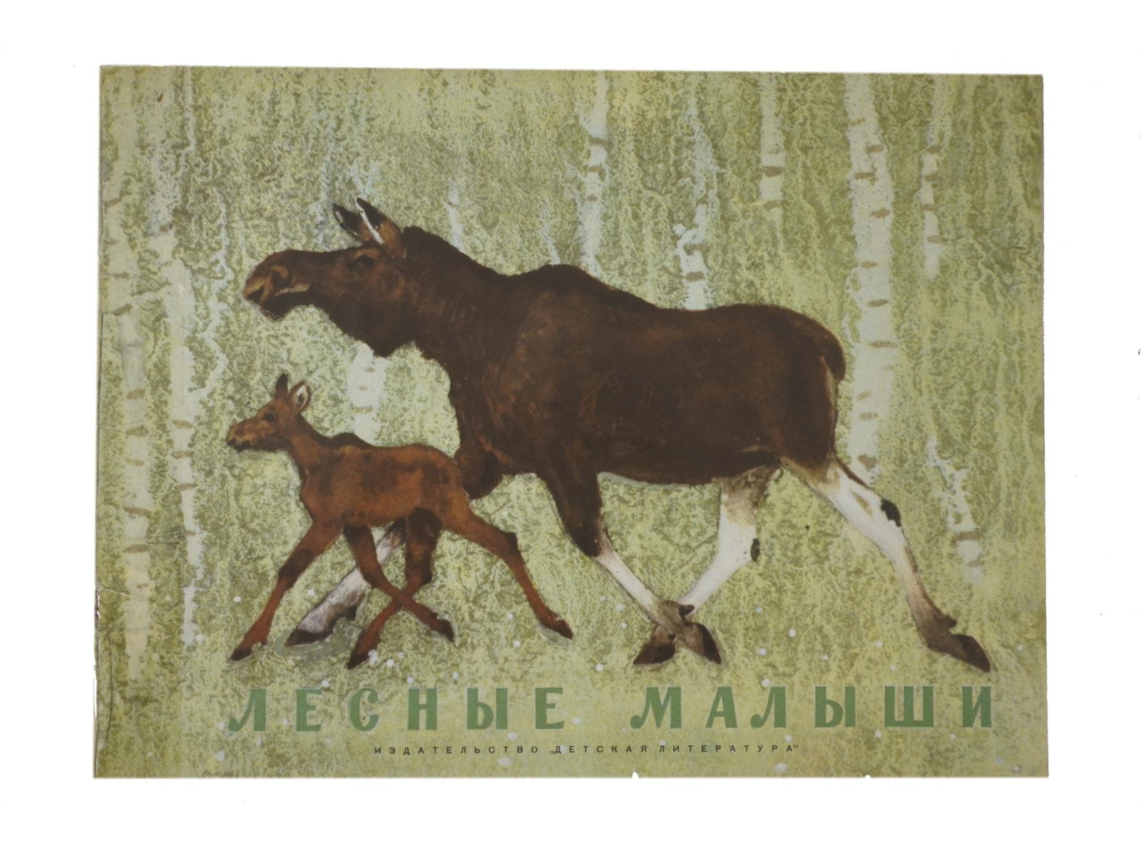 SOVIET CHILDRENS BOOK ILLUSTRATED BY G. NIKOLSKY: Forest Babies by Yuri Dmitriev. Published by Detskaya Literatura, Moscow, 1972. Softcover. Color illustrations by Georgy Nikolsky, 1906 to 1973, a Russian animalier painter, student of Vasily Vatagin.