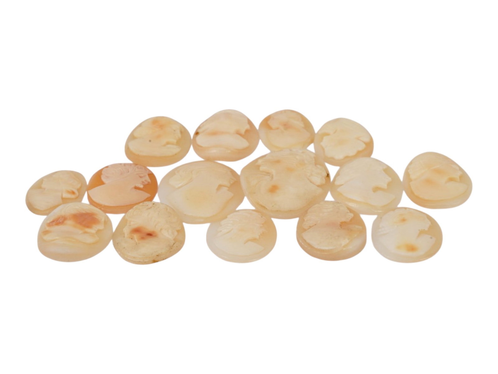 COLLECTION OF CARVED FEMALE PORTRAIT SHELL CAMEOS (1 of 3)