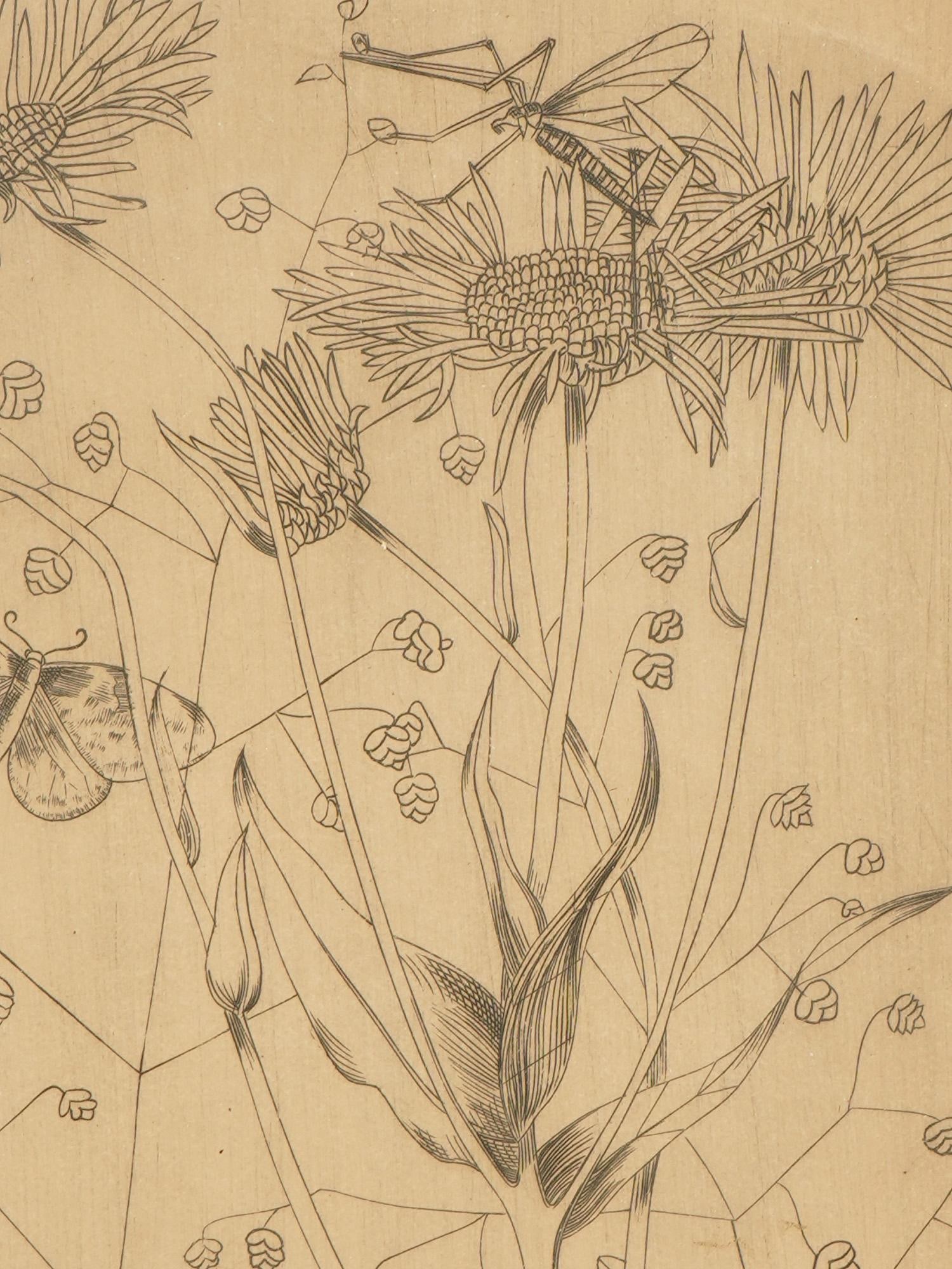 MID CENTURY BOTANICAL ETCHING SIGNED KAUDEL - 2
