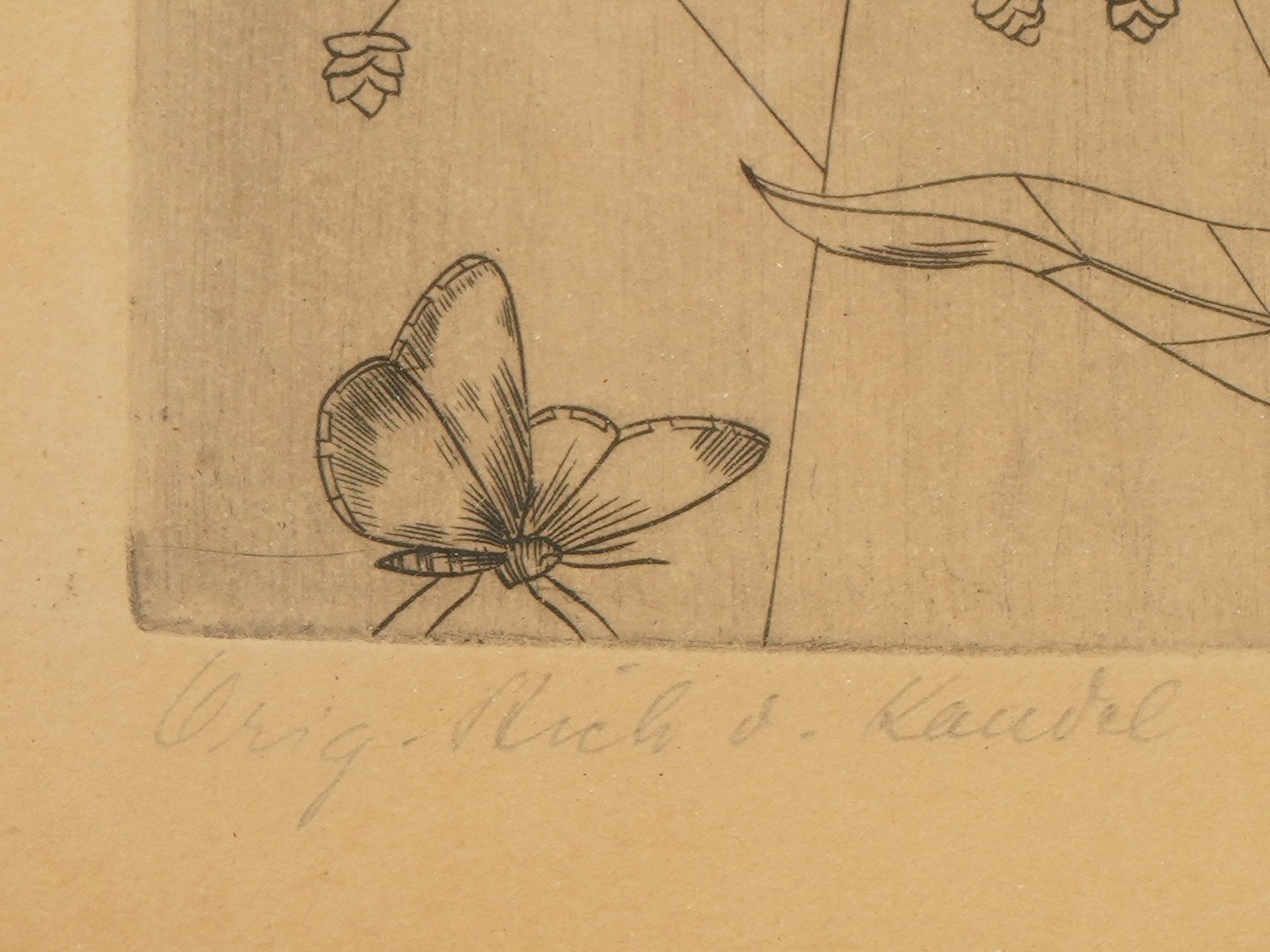 MID CENTURY BOTANICAL ETCHING SIGNED KAUDEL - 4