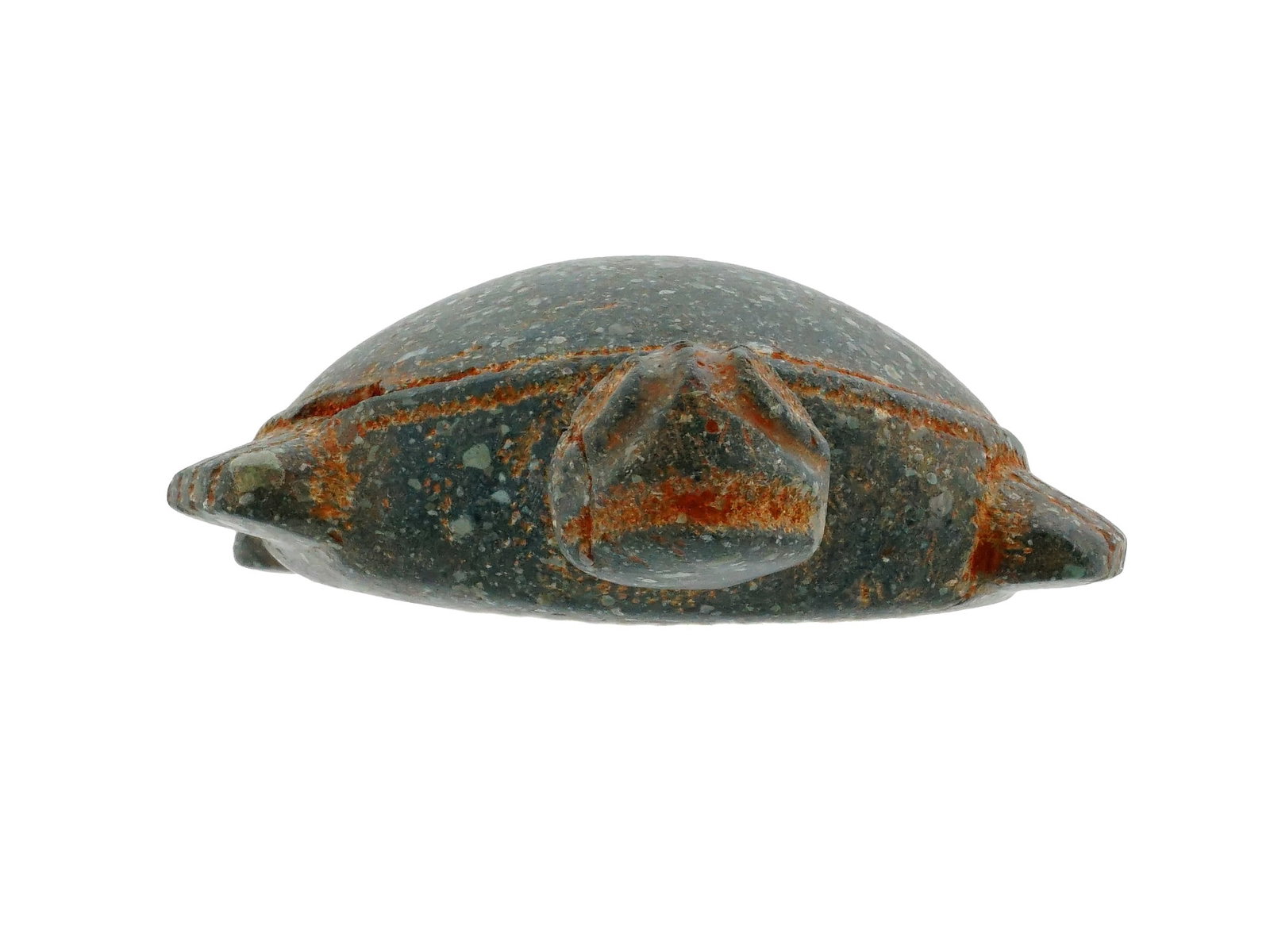 ANCIENT PRE COLUMBIAN ZOOMORPHIC EGGIFY TURTLE FIGURE - 3