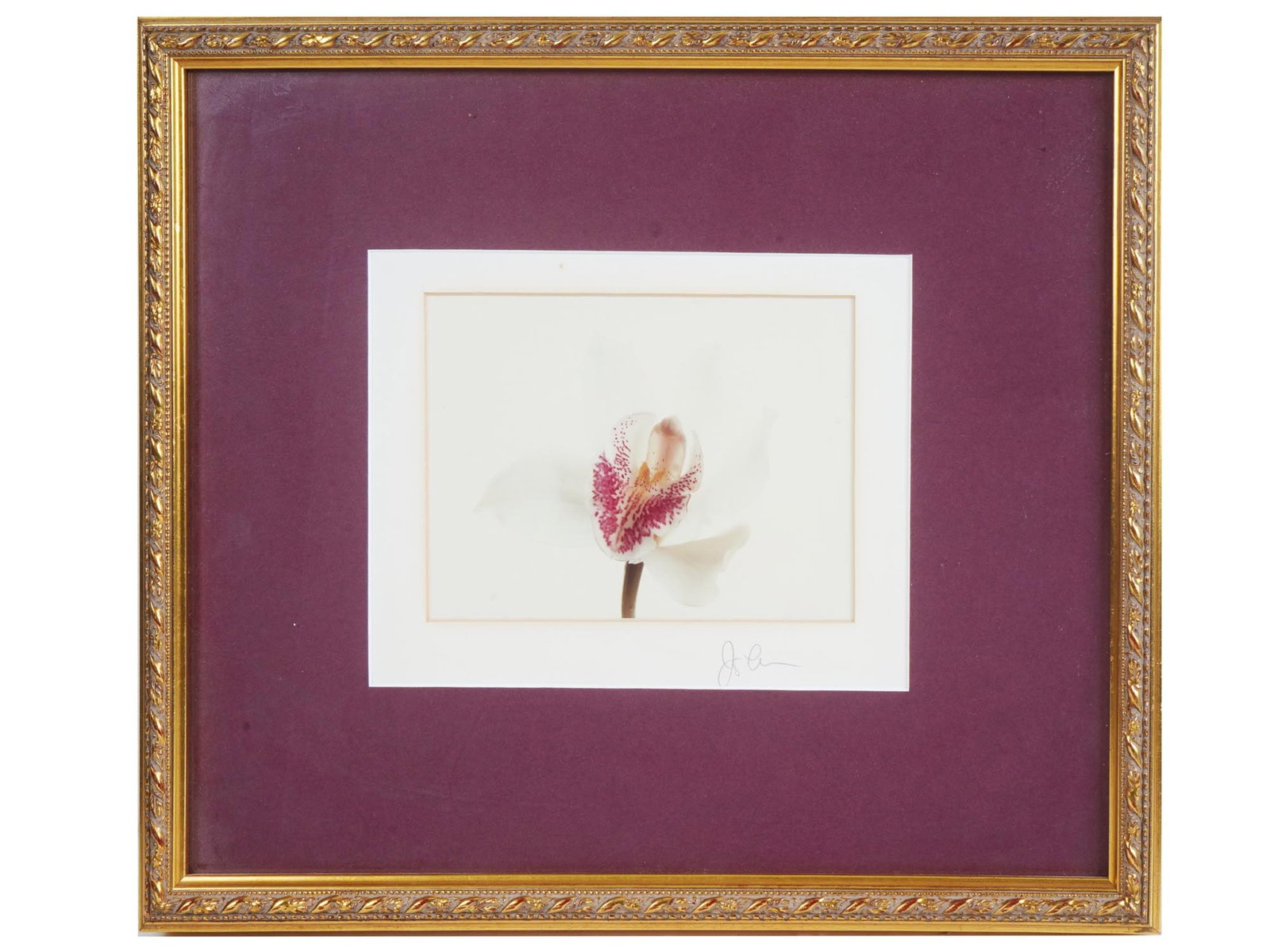20TH CENTURY SCHOOL LILY FLOWER COLOR PRINT SIGNED (1 of 4)