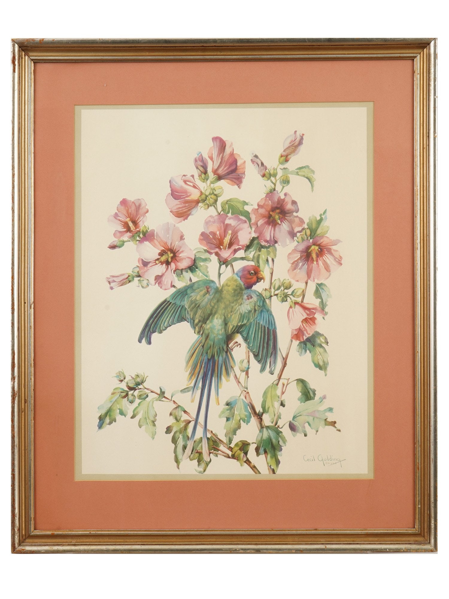 CECIL GOLDING AMERICAN OFFSET PRINT OF PARAKEET (1 of 5)