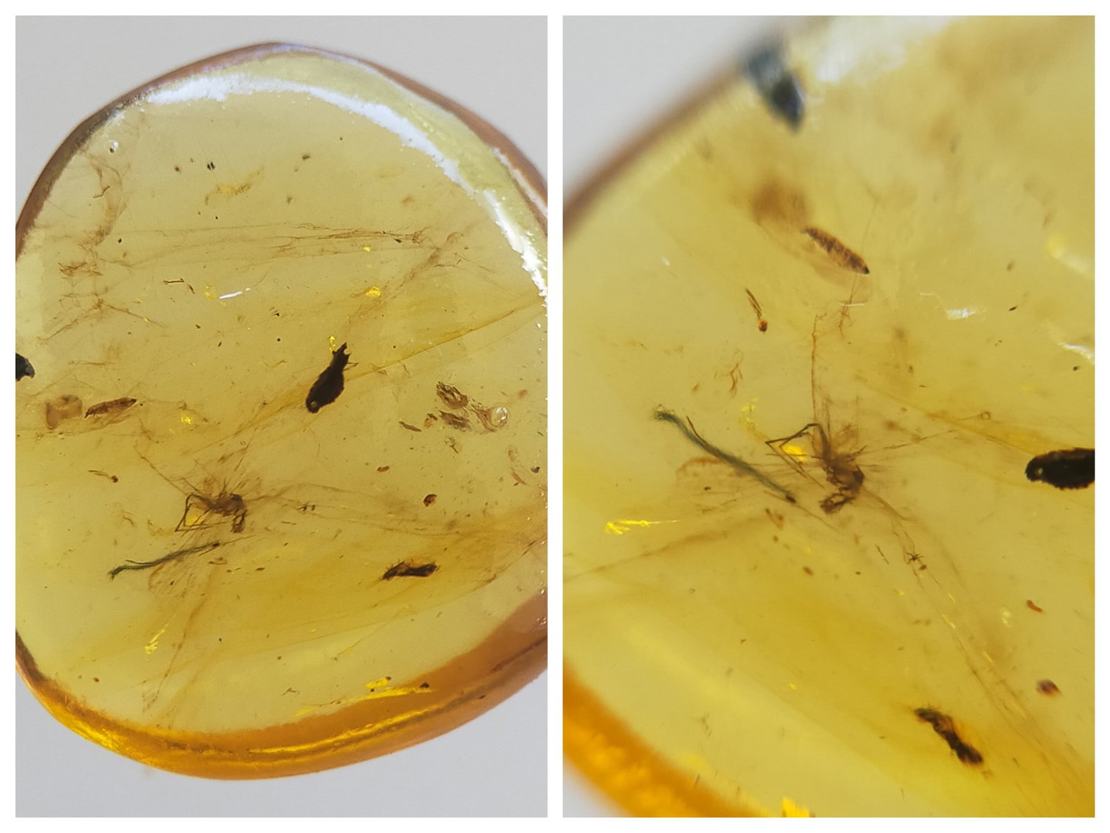 BURMITE AMBER WITH FLY: Light yellow bumrite amber with fly. Weight: 0.94 grams. Origin: Hukawng valley, Kachin state, Myanmar. Age: 99-100 mill. years. (ABR19/10) THIS LOT QUALIFIES FOR A 30-DAY UNCONDITIONAL RETURN FROM