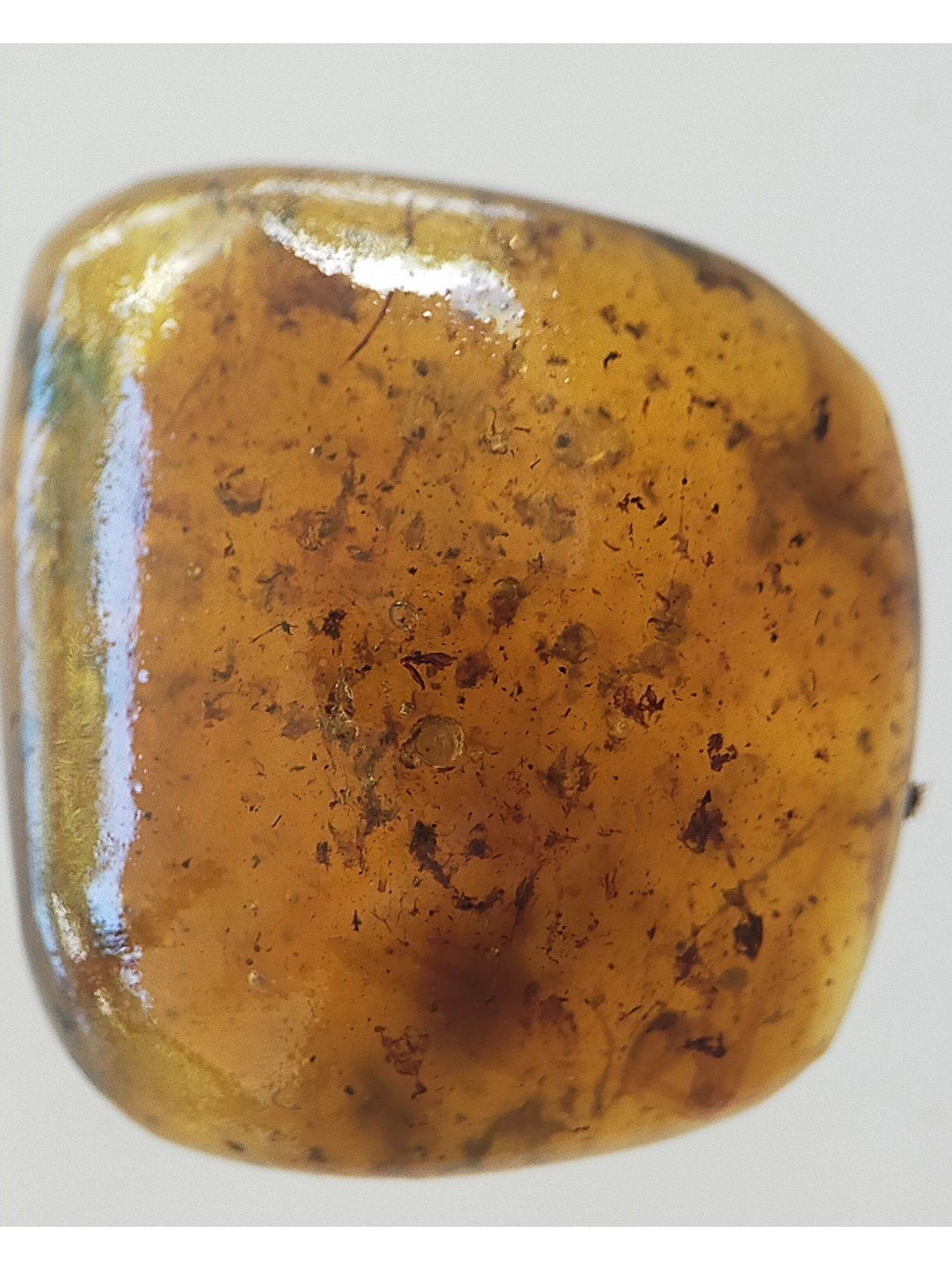 BURMITE AMBER WITH FLY - 4