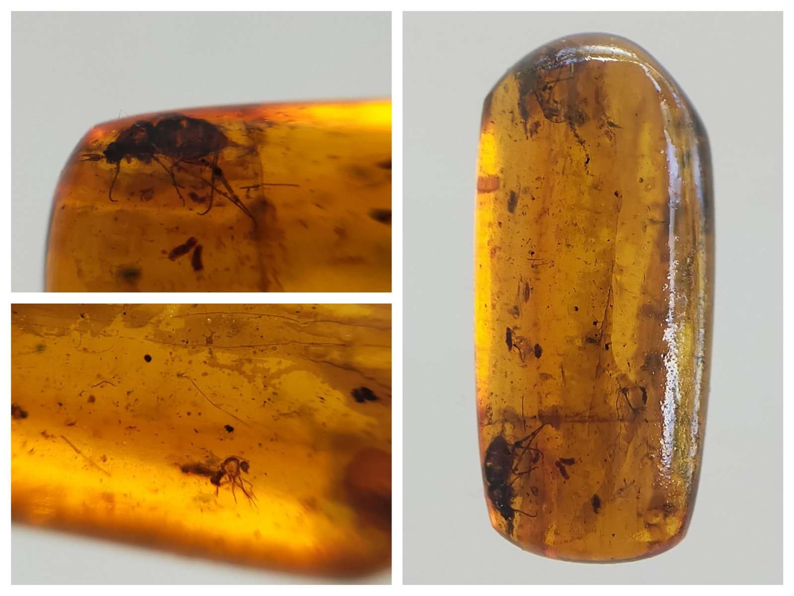 BURMITE AMBER WITH MOSQUITO & BEETLE: Light brown burmite amber with mosquito & beetle. Weight: 0.89 grams. Origin: Hukawng valley, Kachin state, Myanmar. Age: 99-100 mill. years. (ABR17/15) THIS LOT QUALIFIES FOR A 30-DAY UNCONDITIONAL