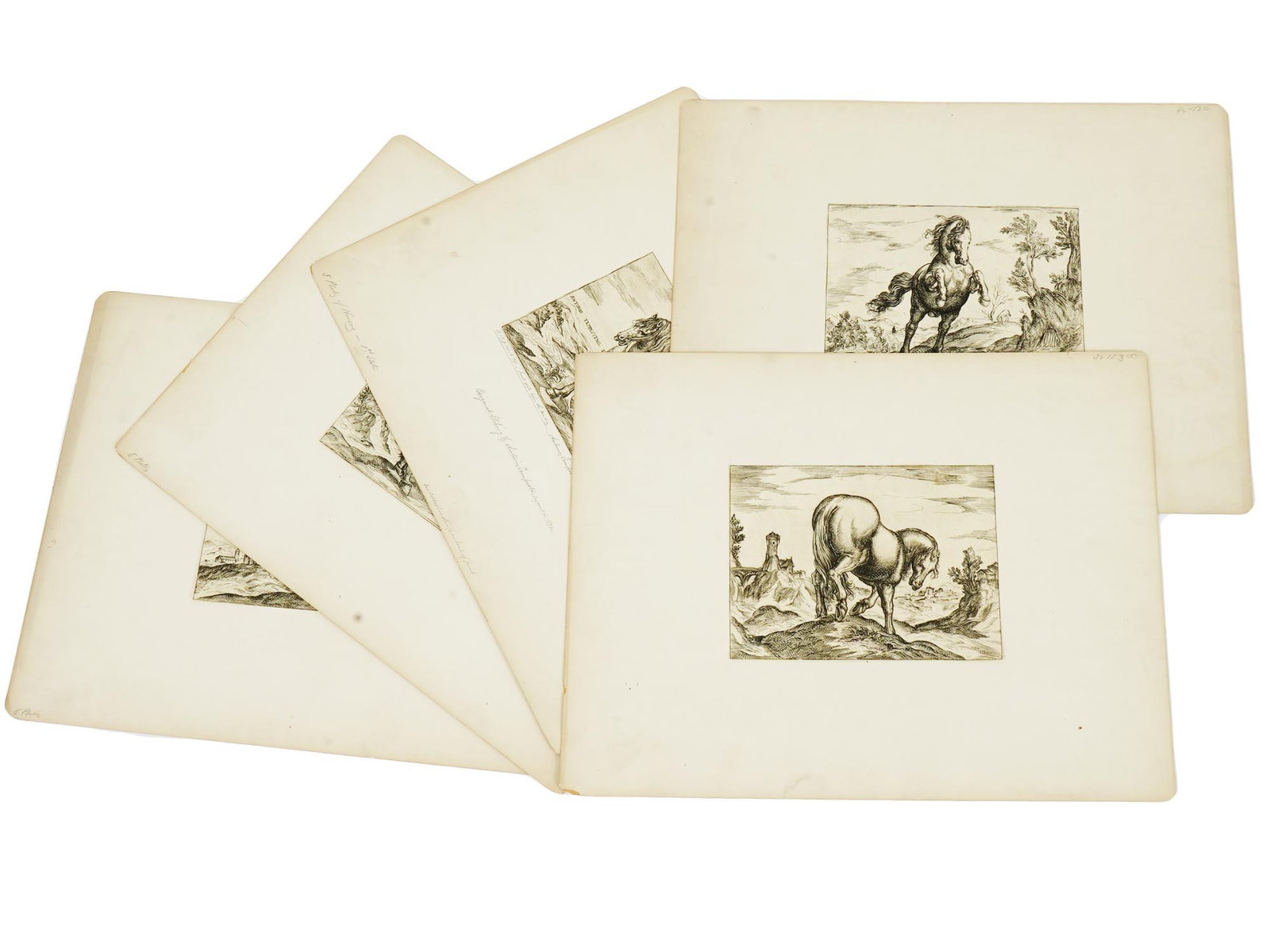 ANTIQUE HORSE ETCHINGS BY ANTONIO TEMPESTA C 1590: A set of five original antique etchings depicting horses by Antonio Tempesta, Italian, 1555 to 1630. Engraved circa 1590. Antonio Tempesta, also called il Tempestino, was an Italian painter and