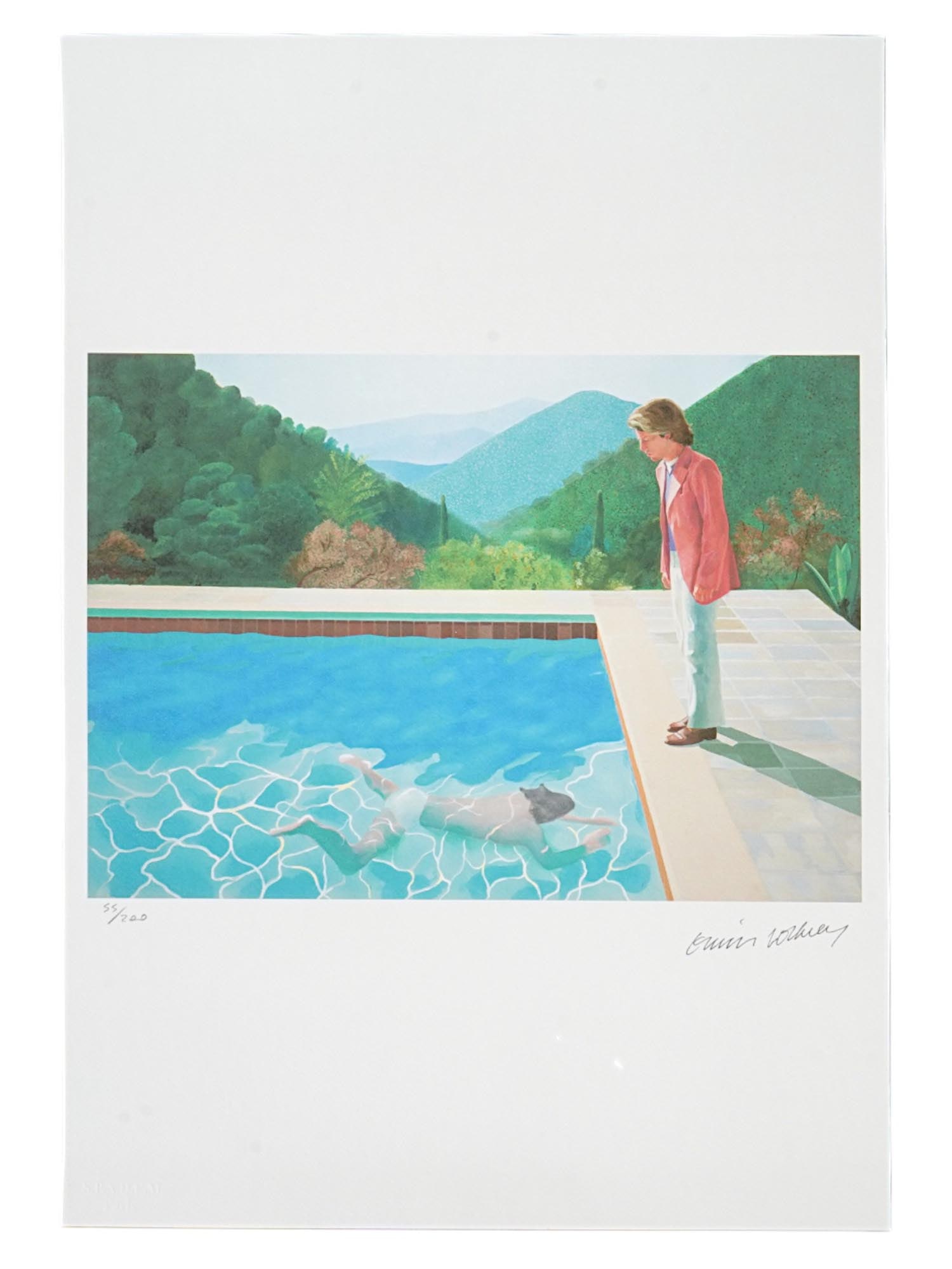 DAVID HOCKNEY BRITISH LTD ED LITHOGRAPH WITH COA (1 of 7)