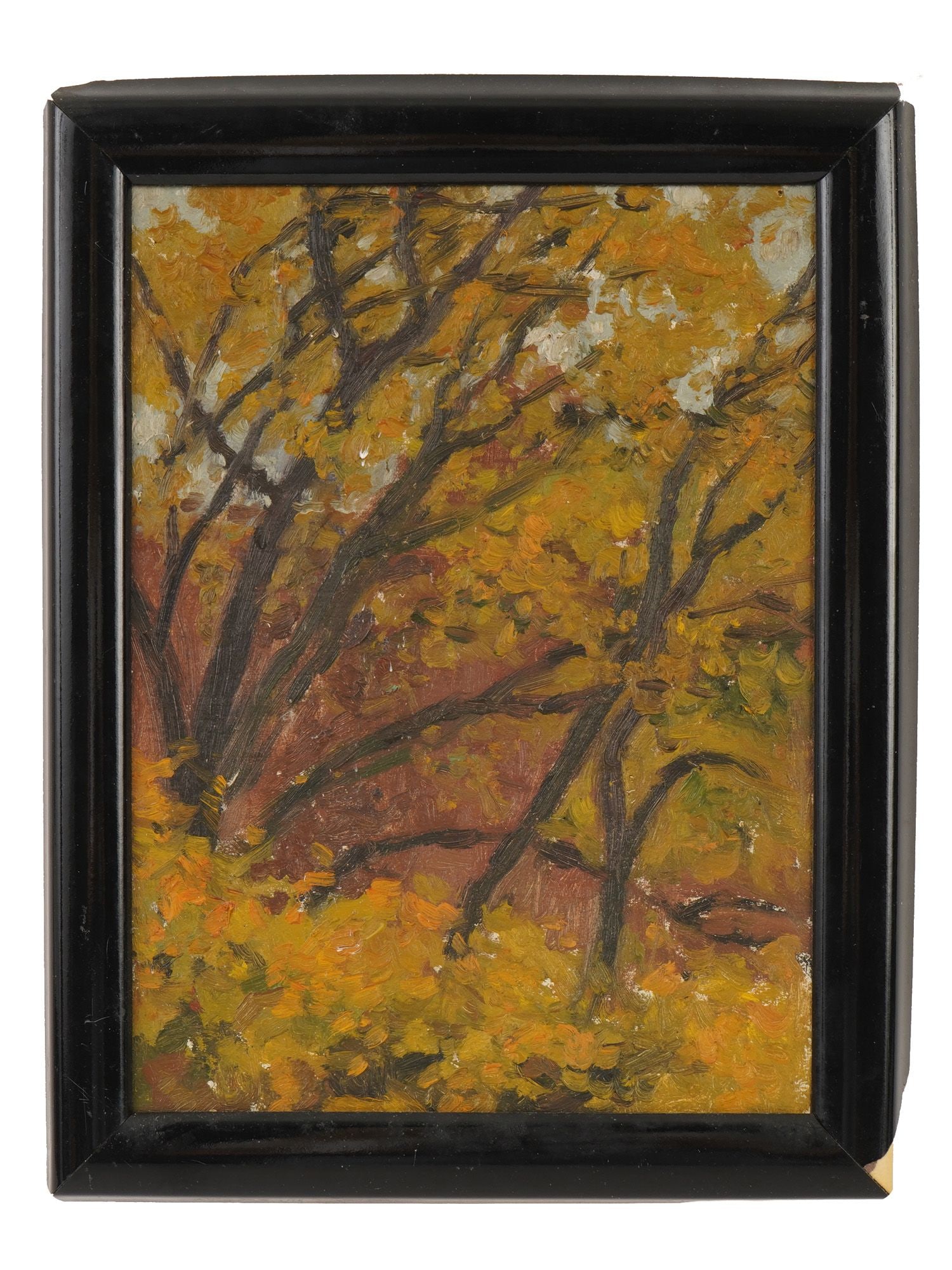 KSENIYA VYAZOVA RUSSIAN LANDSCAPE OIL PAINTING: Kseniya Vyazova, Russian, 20th-21st century, oil painting on canvasboard. The artwork depicts the yellow foliage of trees. Titled Autumn. Dated 1984. Signed on the backside. Framed. Collectible Fine A
