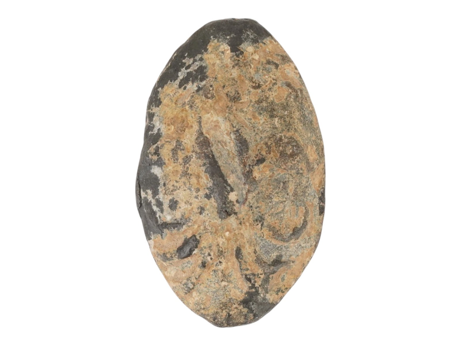 ANCIENT HOLY LAND LEAD SLING BULLET 600 TO 300 BC (1 of 6)