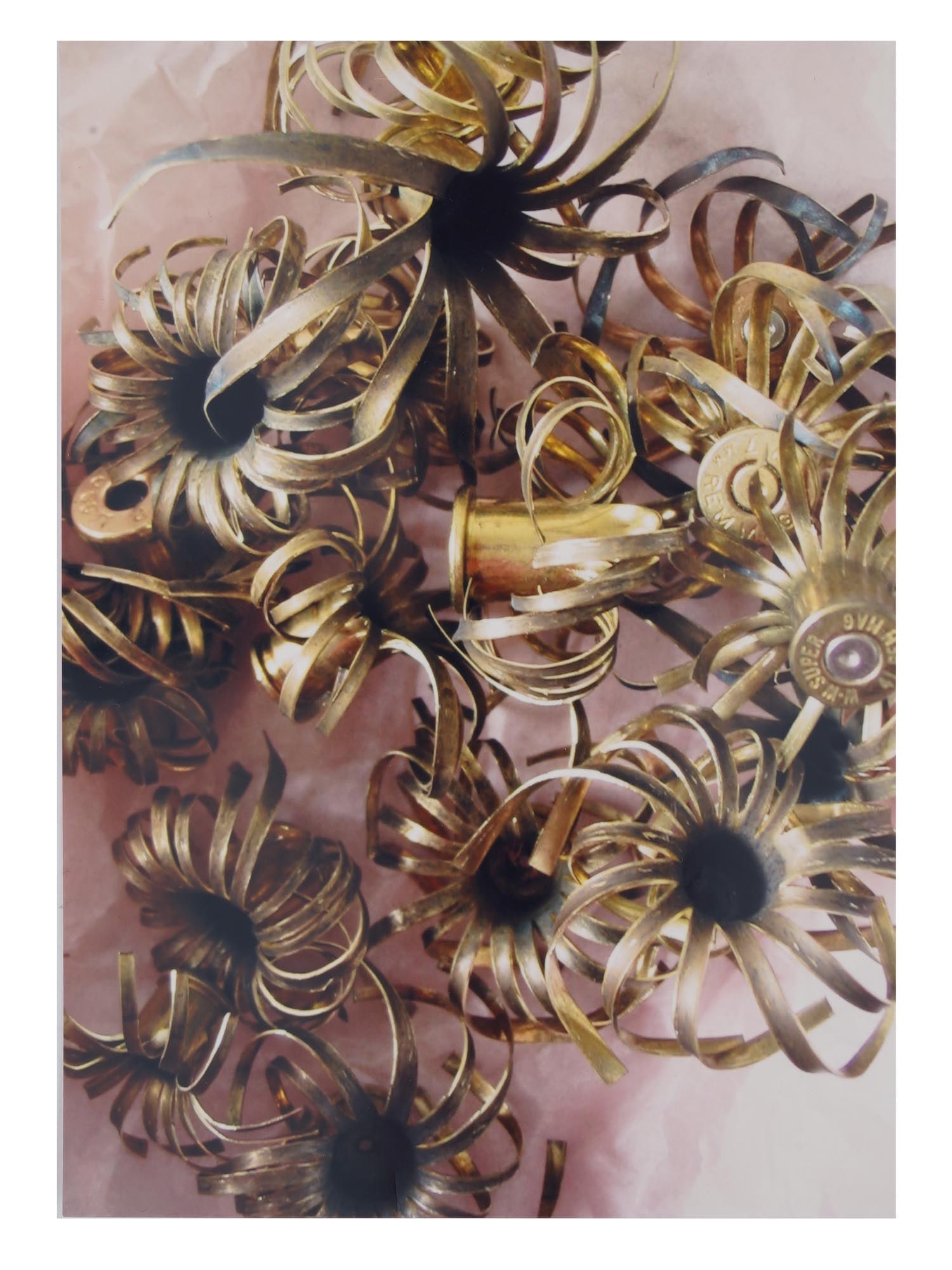 PENNY DAVIS CONTEMPORARY AMERICAN LTD C PRINT: Chromogenic print on paper by Penny Davis. Titled Shells. Dated 2004. Numbered 2 out of 15. Hand-signed by the artist on the backside. Provenance: Modern Culture Gallery, NY. Collectible Contemporary 