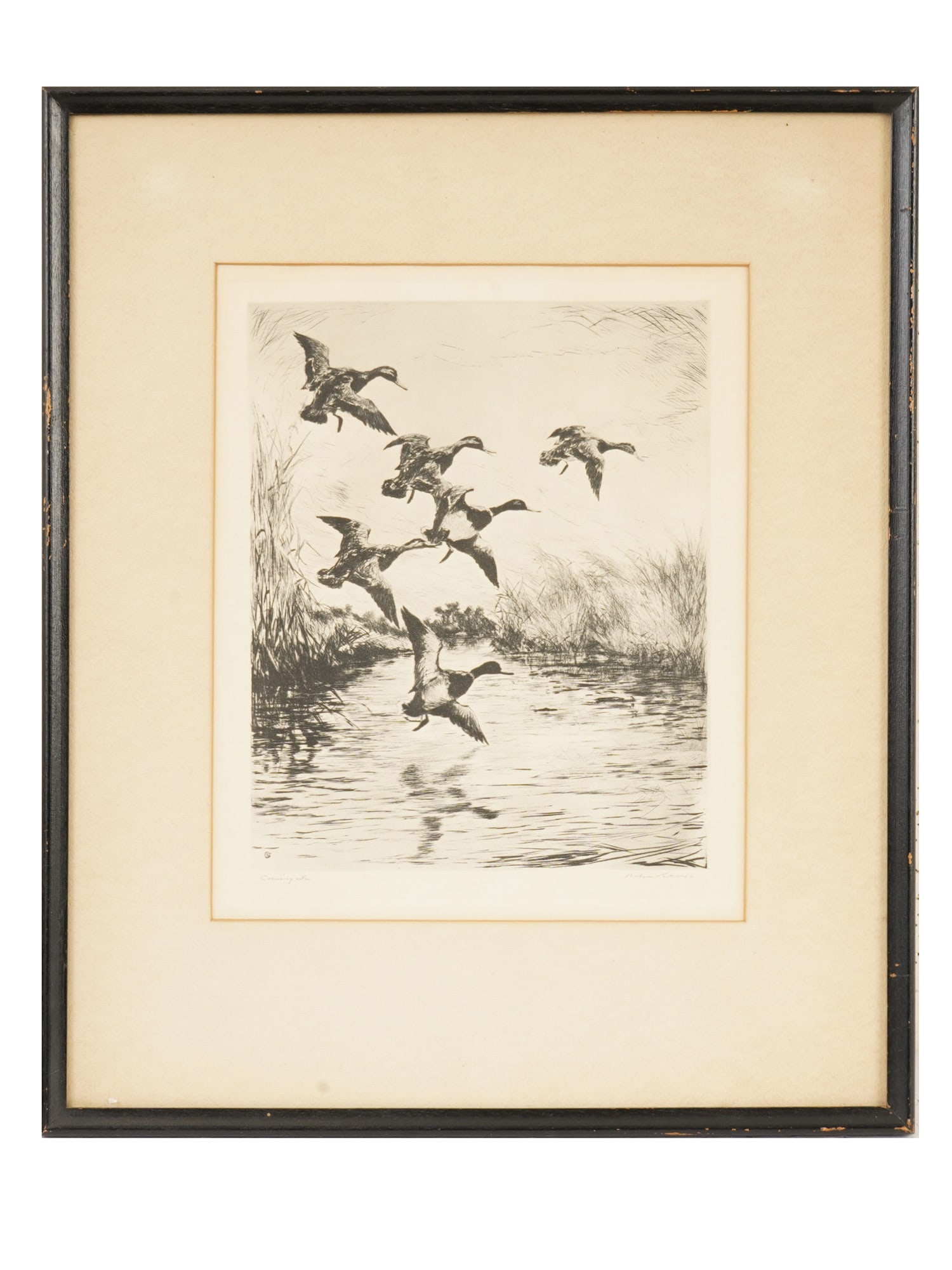 ROLAND CLARK AMERICAN ETCHING A FLOCK OF DUCKS: Roland Clark, American, 1874 to 1957, an etching showing a flock of ducks descending toward a marshy shoreline, a subject closely associated with the artists celebrated sporting and wildlife imagery. 