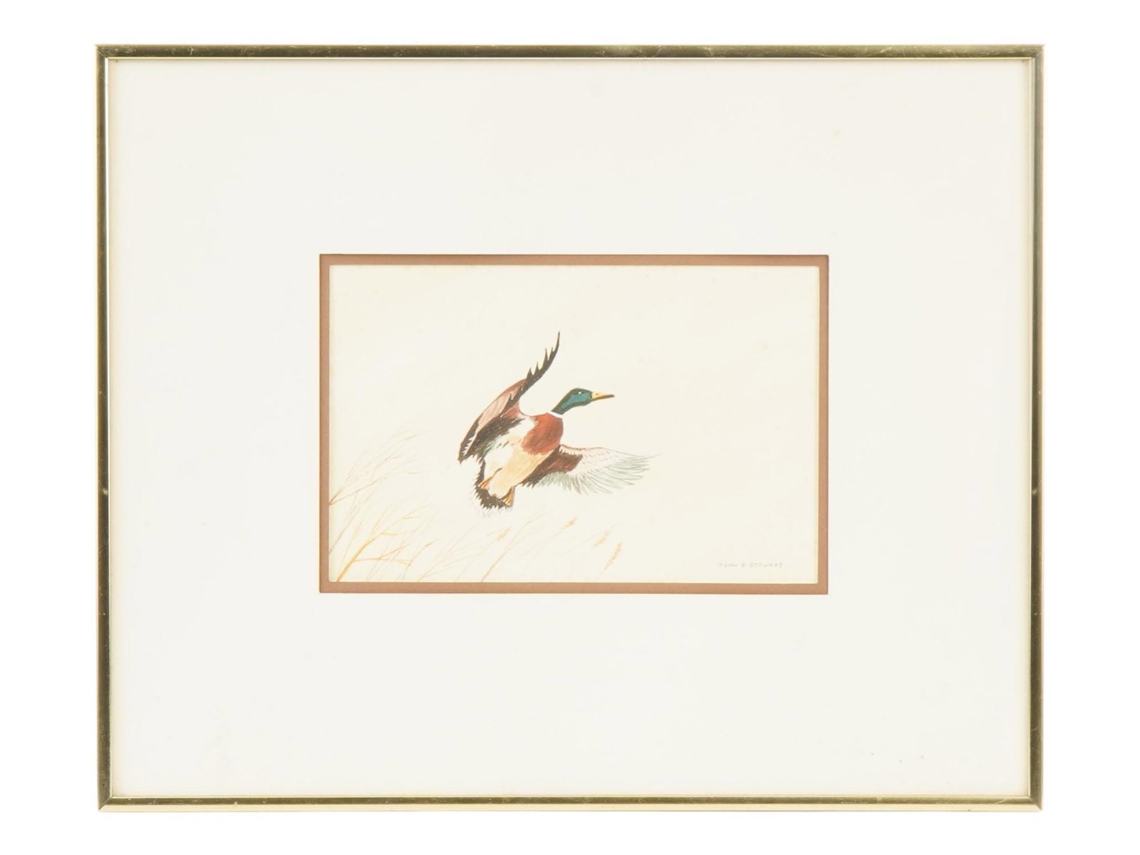 JOHN A. STEWART AMERICAN PAINTING TAKE OFF DUCK: John A. Stewart, American, born 1973, a watercolor painting on paper, titled Take Off, depicting a duck in flight, signed by the artist lower right with additional information on verso. Stewart is kno