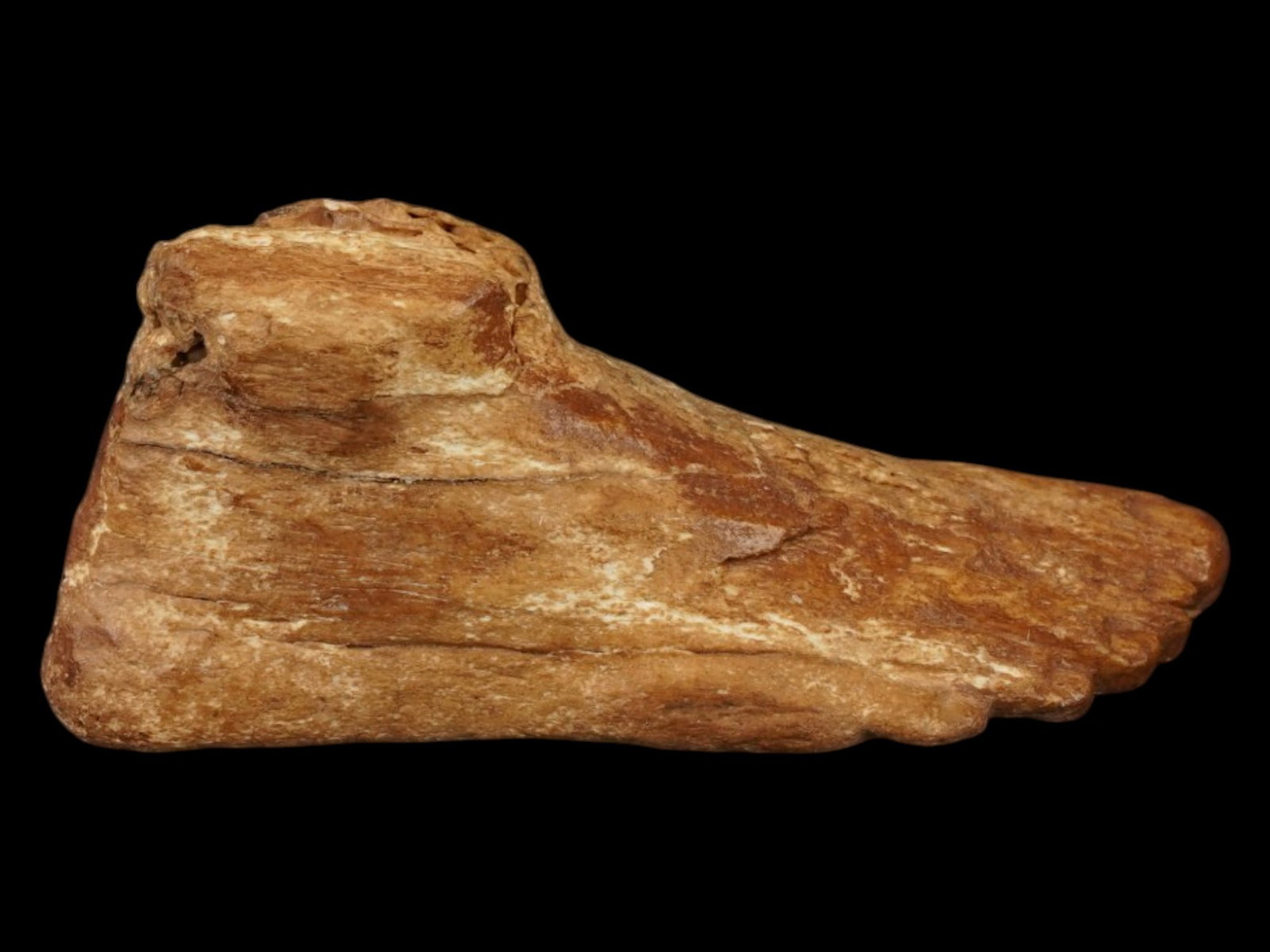 ANCIENT EGYPTIAN CARVED STONE FOOT AMULET 700 200 BC: An ancient Egyptian carved stone foot amulet. The item represents the well detailed right foot symbolizing the energy, mobility, and vitality needed for the deceased to walk and journey through the af