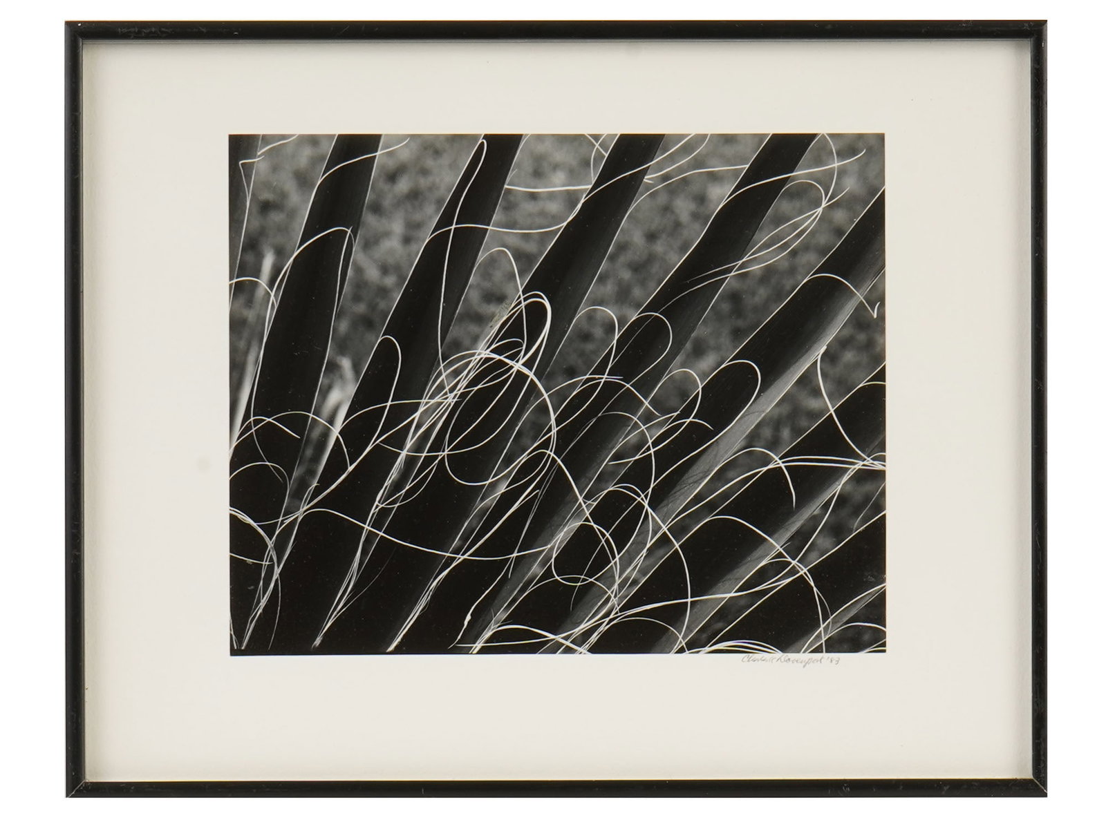 SIGNED DAVENPORT AMERICAN ABSTRACT PHOTOGRAPH 1983: A vintage American abstract photograph. Pencil signed Davenport and dated 1983 lower right. Matted and framed. Vintage and Modern Artworks And Home Decor Collectibles. THIS LOT IS ELIGIBLE FOR A 30-DA