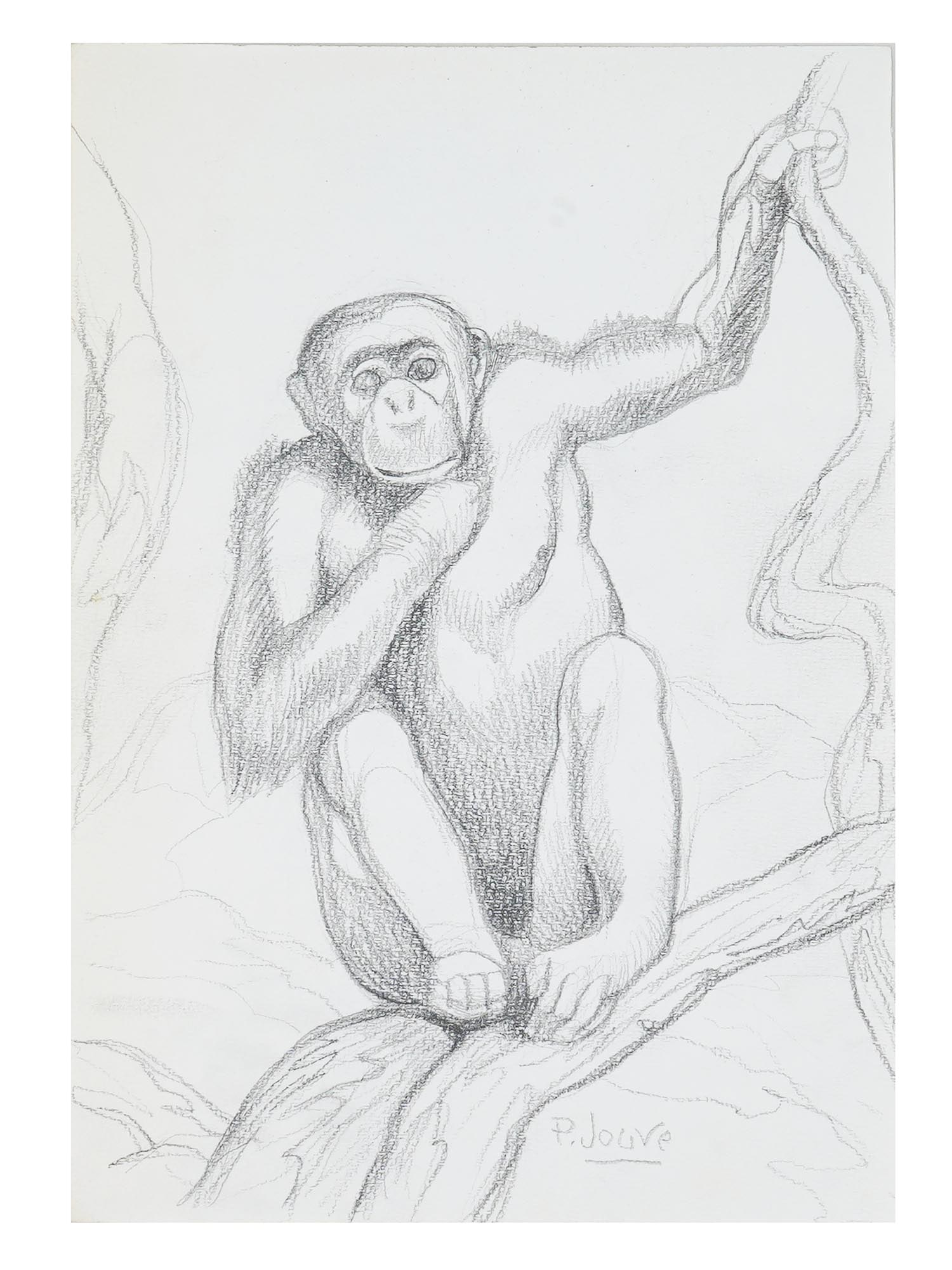 ATTR TO PAUL JOUVE FRENCH PENCIL PAINTING OF CHIMPANZEE (1 of 4)