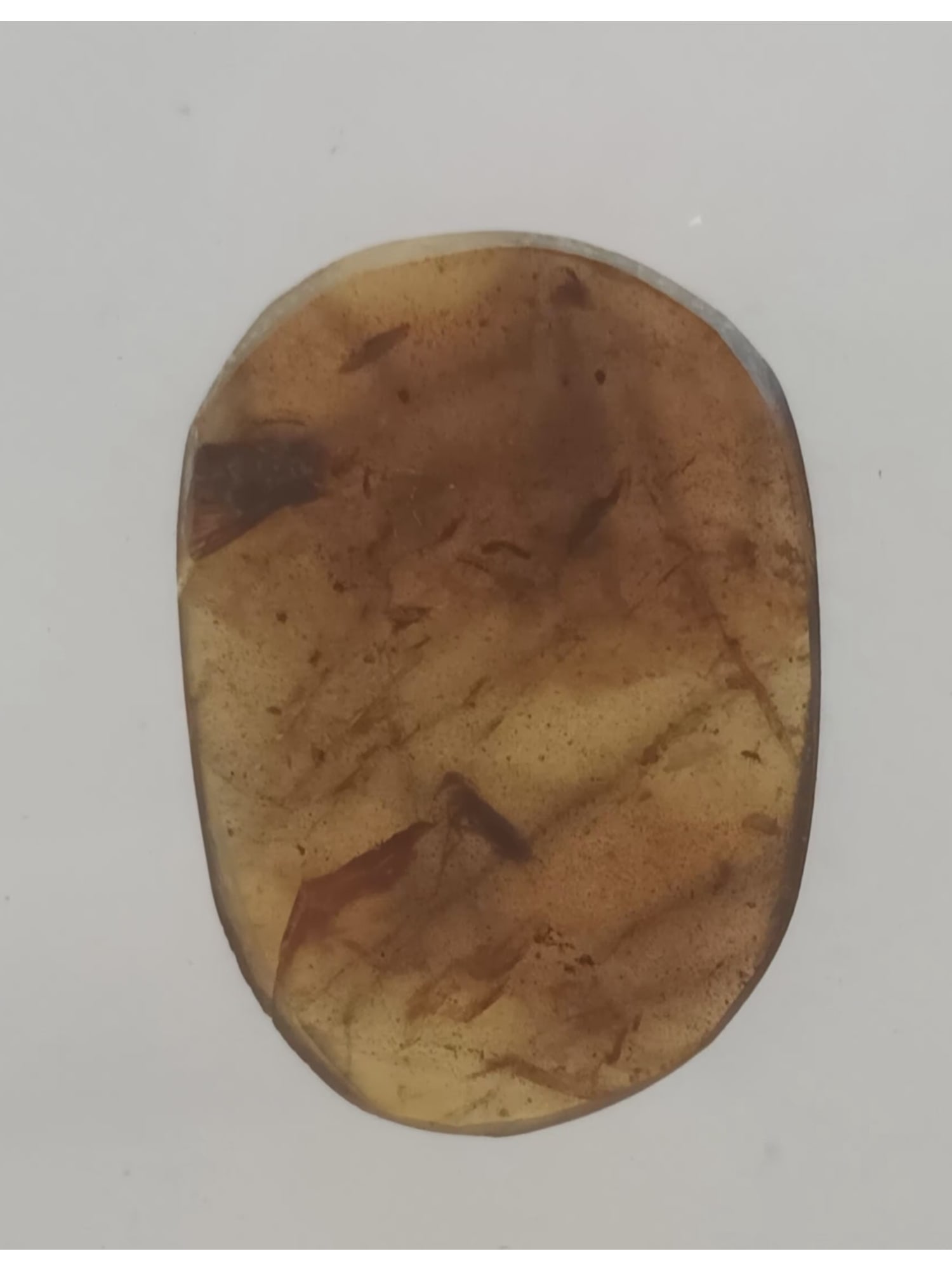 BURMITE AMBER WITH FLY & OTHER INSECT: Light brown burmite amber with fly & other insect. (ABR15/12) Weight: 1.16 grams. Origin: Hukawng valley, Kachin state. Myanmar. Age: 99-100 mill. years. THIS LOT QUALIFIES FOR A 30-DAY UNCONDITIONAL