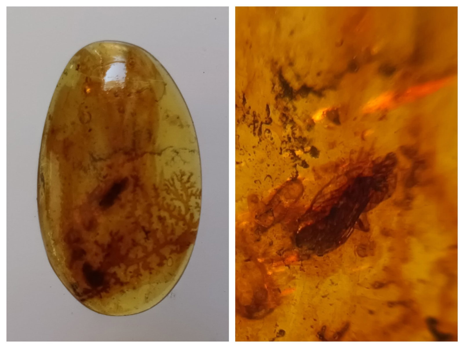 BURMITE AMBER WITH INSECT: Orange brown burmite amber with an insect. (ABR13/46) Weight: 0.68 grams. Origin: Hukawng valley, Kachin state, Myanmar. Age: 099-100 mill. years. THIS LOT QUALIFIES FOR A 30-DAY UNCONDITIONAL RETURN