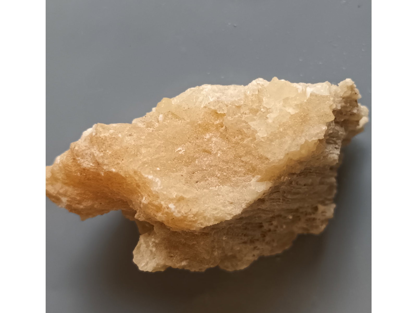 FOSSIL CORAL: Fossil coral. (CA61/241) Weight: 62 grams. Origin: Panglao, Bohol, Philippines. THIS LOT QUALIFIES FOR A 30-DAY UNCONDITIONAL RETURN FROM THE DATE OF SALE. BUYERS ARE RESPONSIBLE FOR RETURN SHIPPING.