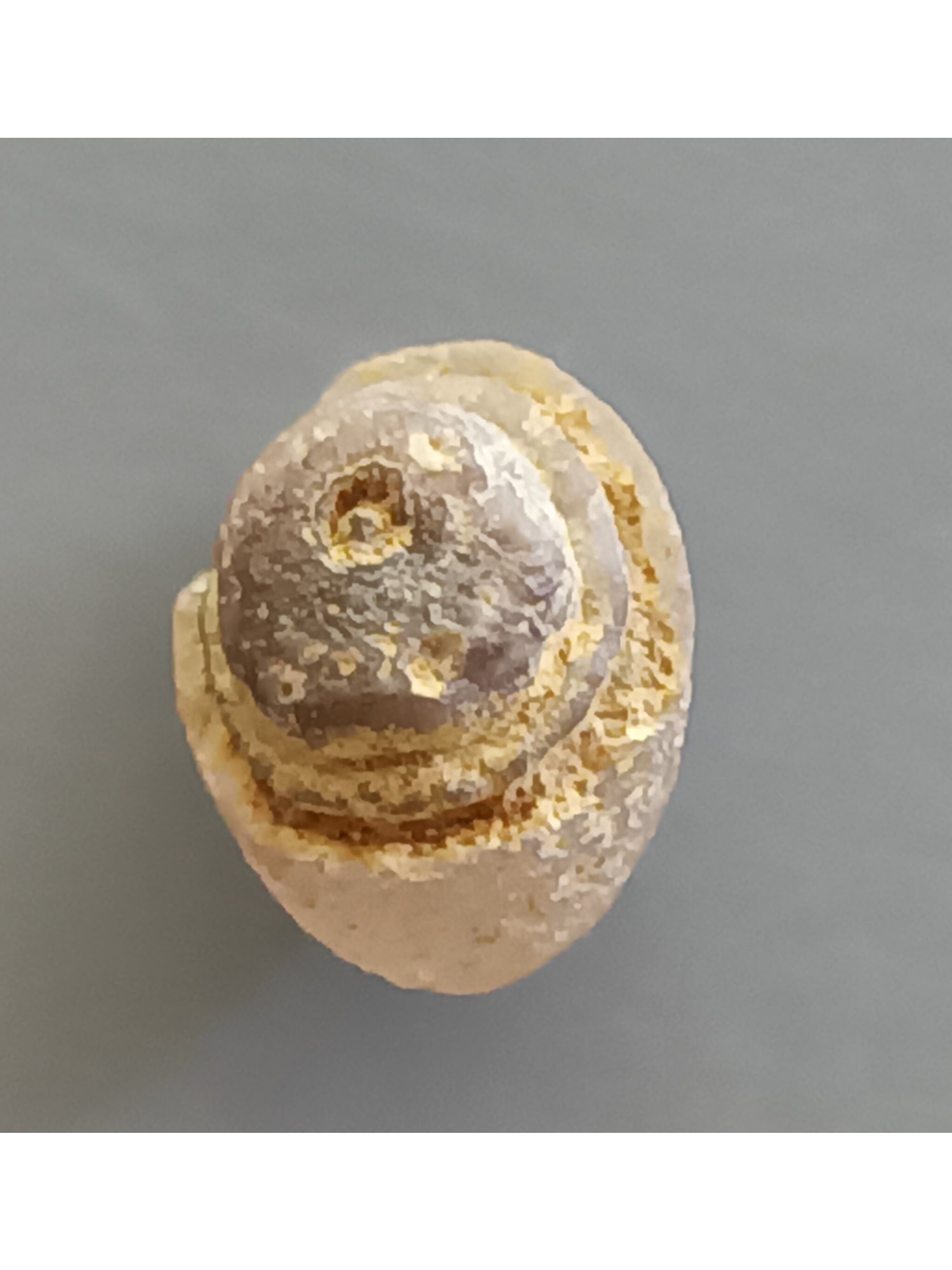 SMALL & PRETTY EYE AGATE: Small & pretty eye agate (ag23/1). Weight: 0.27 grams. Origin: Alashan Area, Gobi desert, Inner Mongolia, China. THIS LOT QUALIFIES FOR A 30-DAY UNCONDITIONAL RETURN FROM THE DATE OF SALE. BUYERS ARE