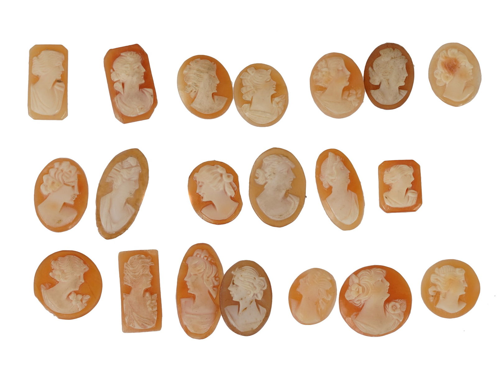 ANTIQUE VINTAGE CARVED SHELL CAMEOS FEMALE PORTRAITS: A set of antique or vintage carved shell cameos featuring high-relief female portraits, executed in a traditional classical style associated with Victorian-era jewelry. The loose unmounted pieces disp