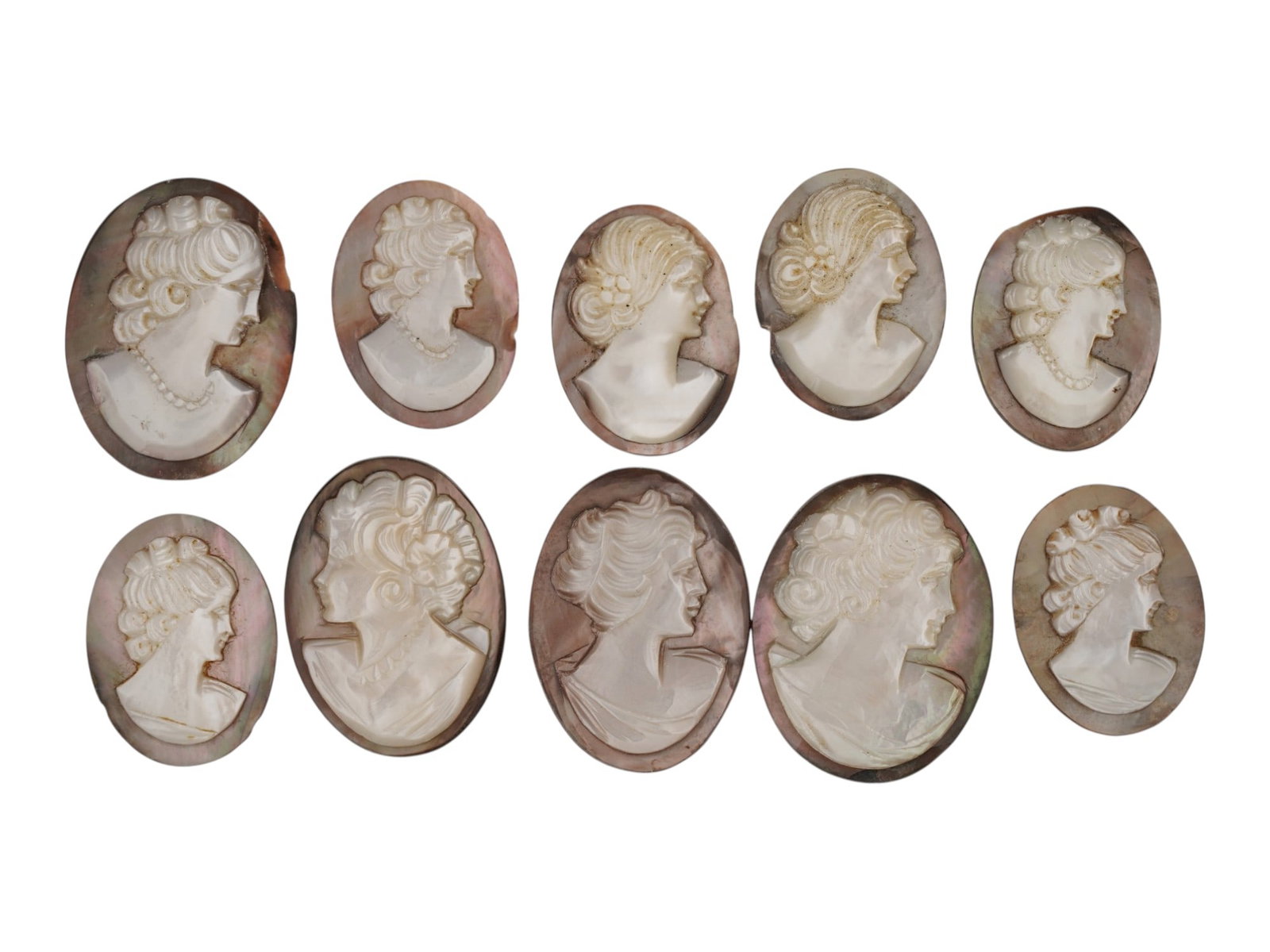 COLLECTION OF FEMALE PORTRAIT CARVED SHELL CAMEOS: A collection of ten hand carved cameo medallions. Each piece is crafted from a conch shell and depicts female portraits in the Victorian manner rendered in high relief. The cameos are presented in an 