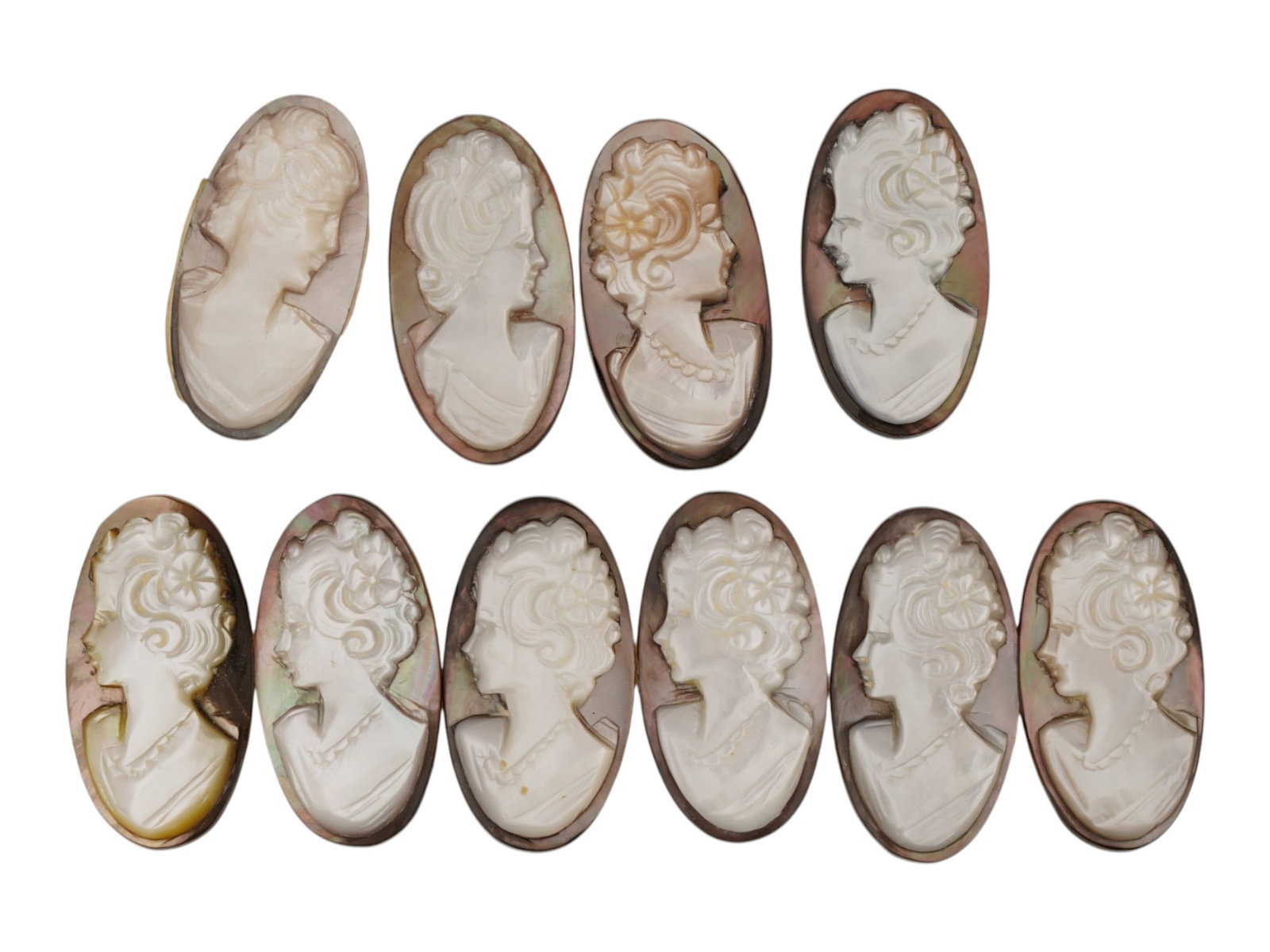 COLLECTION OF FEMALE PORTRAIT CARVED SHELL CAMEOS: A collection of ten hand carved cameo medallions. Each piece is crafted from a conch shell and depicts female portraits in the Victorian manner rendered in high relief. The cameos are presented in an 